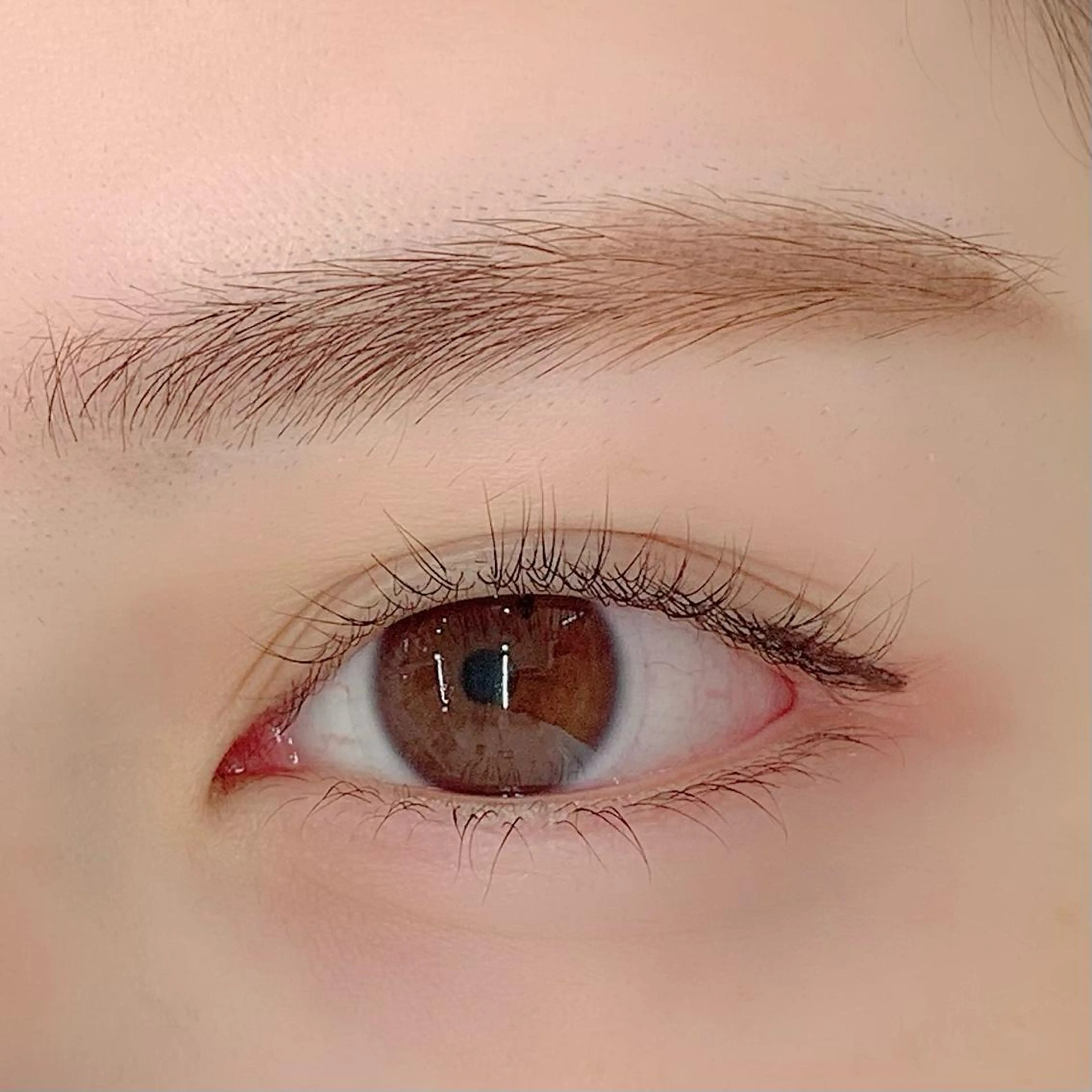 マツエク・マツパ パリジェンヌラッシュリフト まつげパーマ 下まつげエクステ BellFlower Aki（眉・まつげ）のマツエク・マツパデザイン