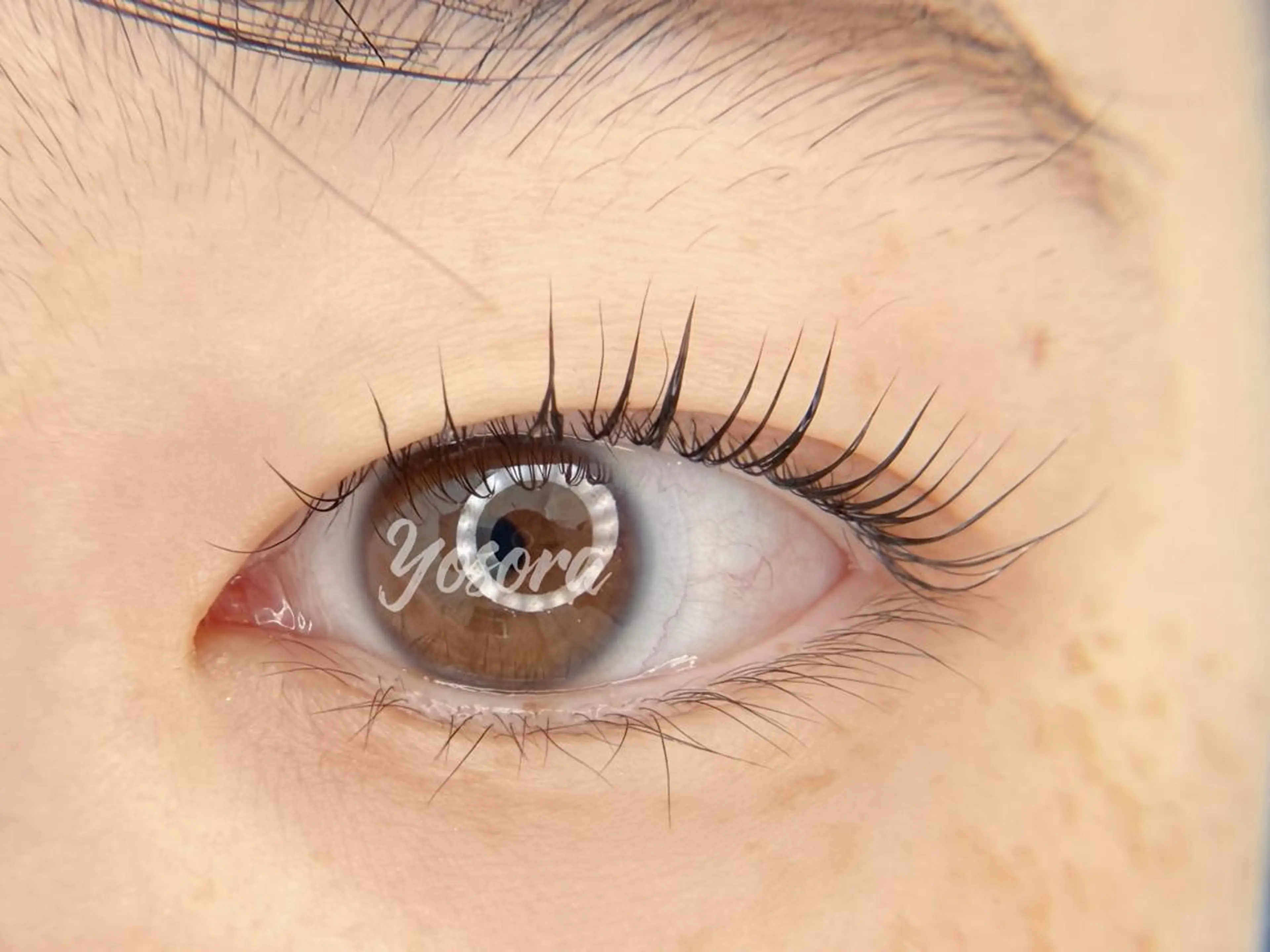 マツエク・マツパ Lカール 一重×まつ毛パーマ マツパ 浅草橋 Yosoraのマツエク・マツパデザイン