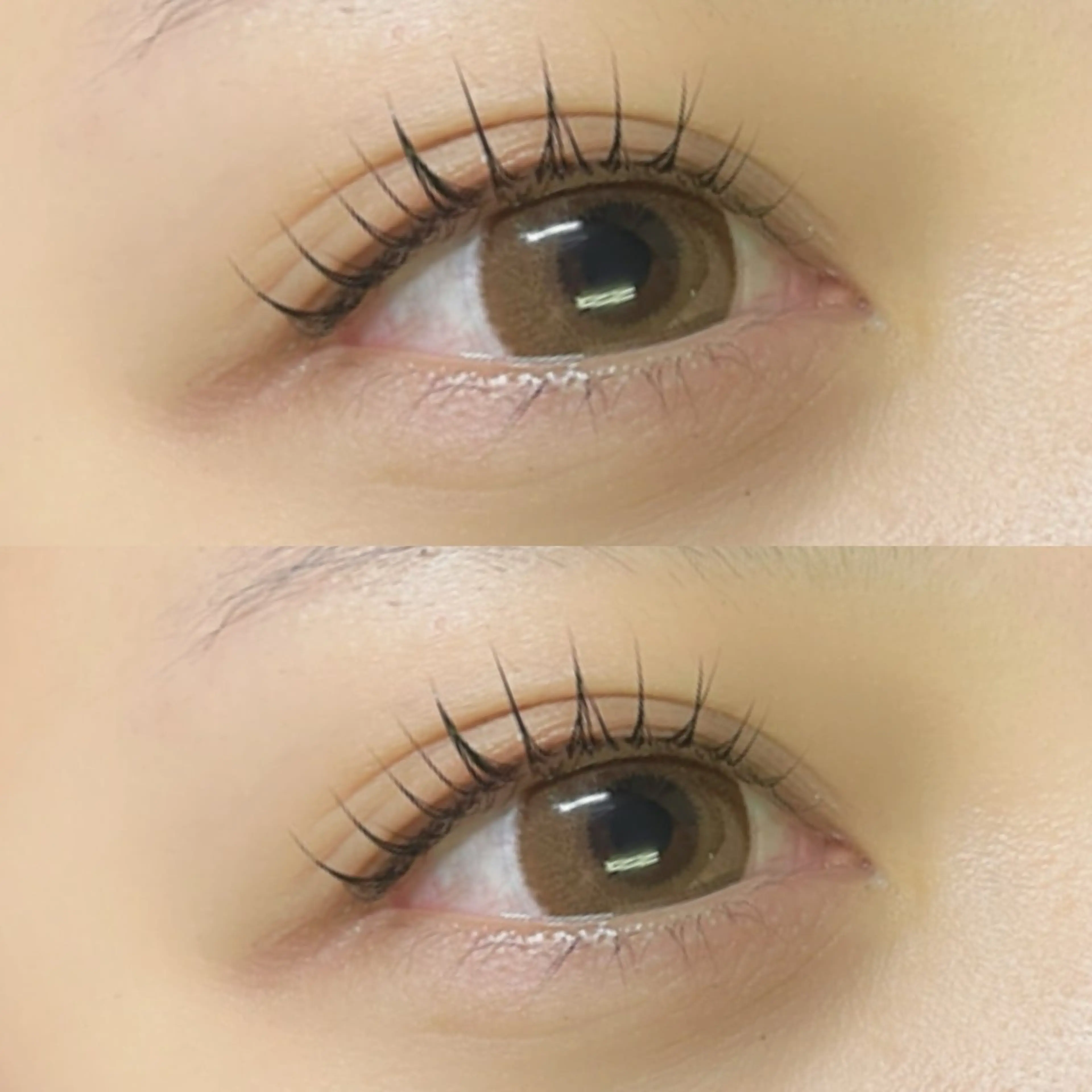 マツエク・マツパ マツパ リフュージュ　隠れ家所属・リフュージュ🌷 カホのマツエク・マツパデザイン