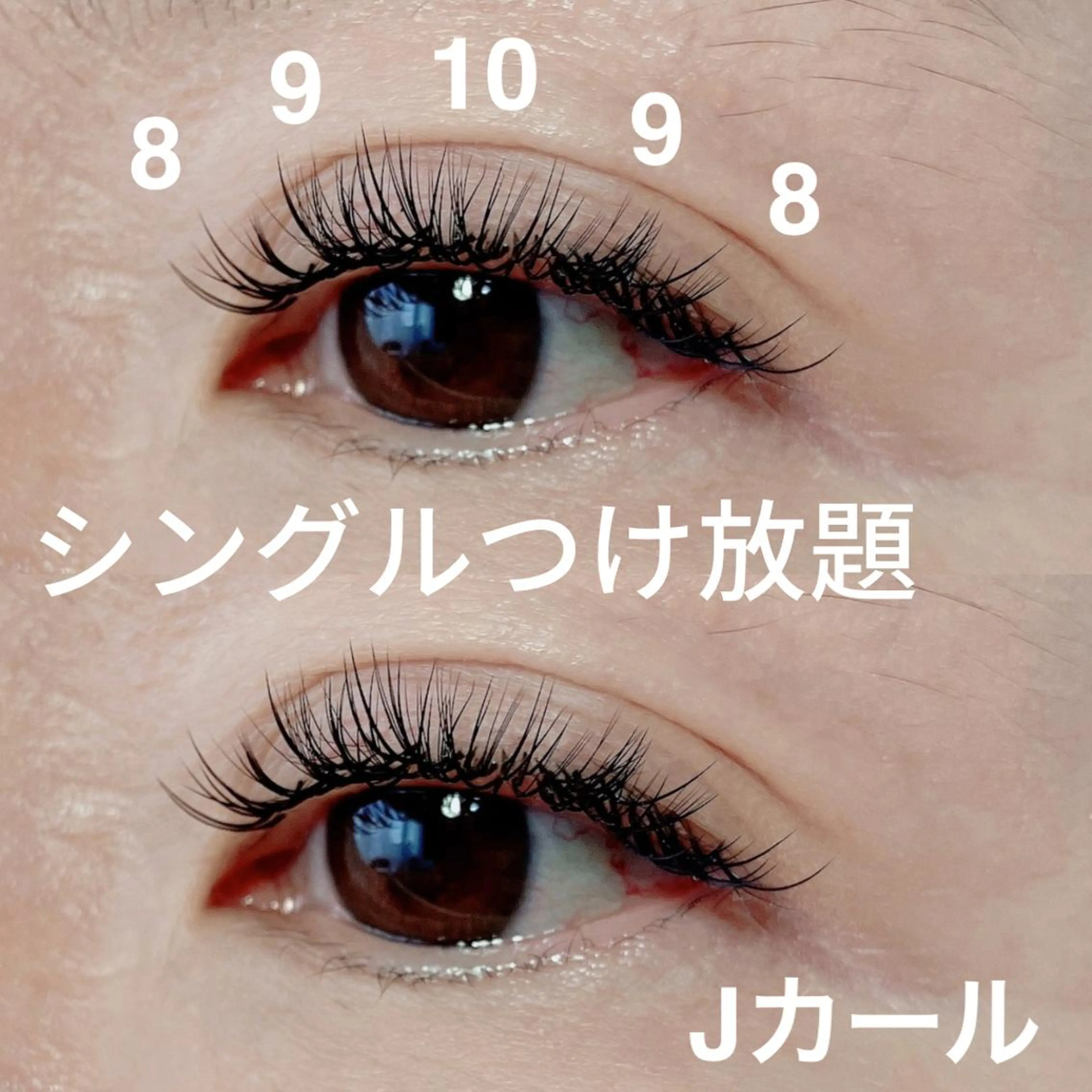 マツエク・マツパ 付け放題 キュート Pilina eyelashのマツエク・マツパデザイン