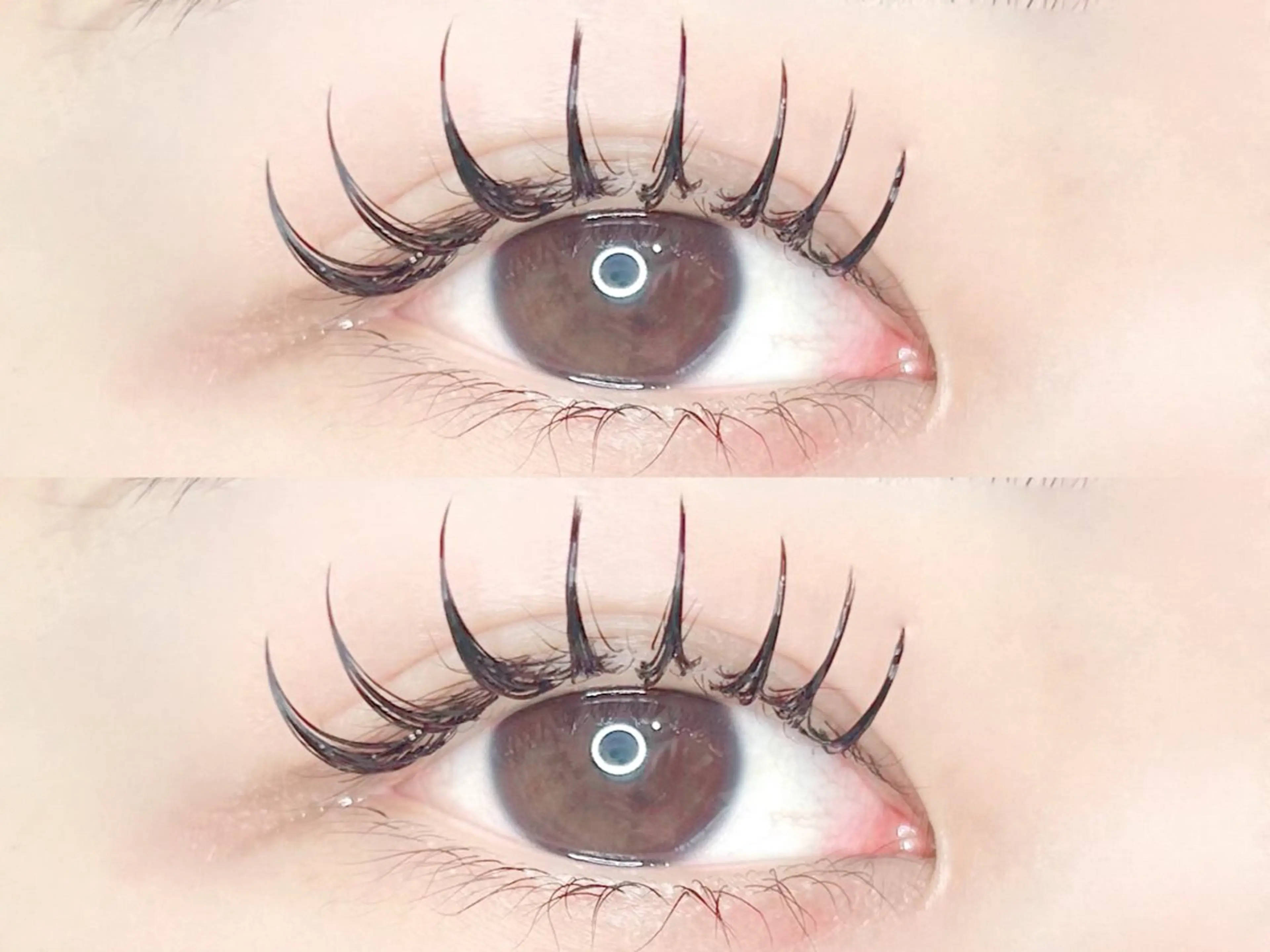 バインドロック60束🎀の写真