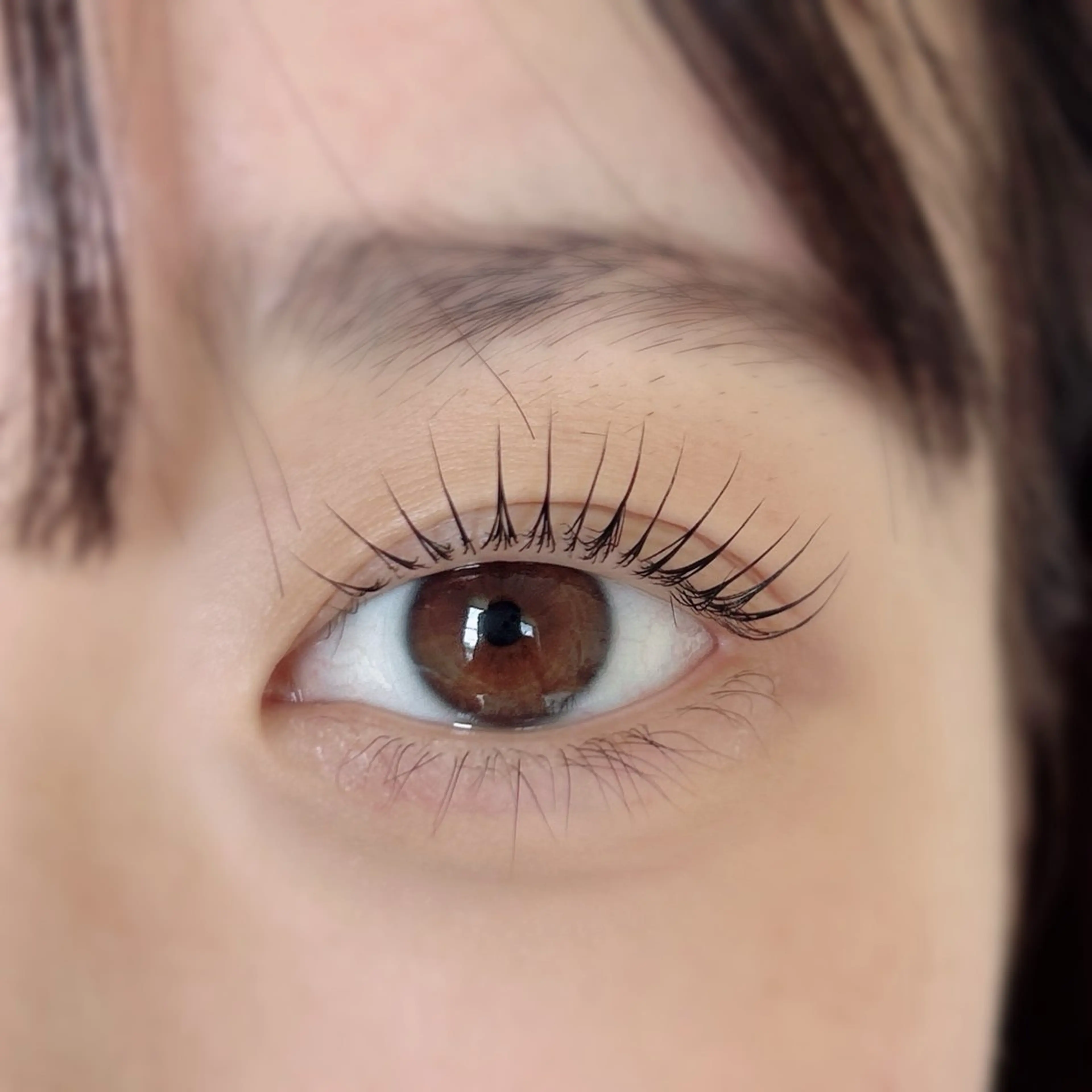 マツエク・マツパ Biolus/天王寺 2号店🌸noa🌸のマツエク・マツパデザイン