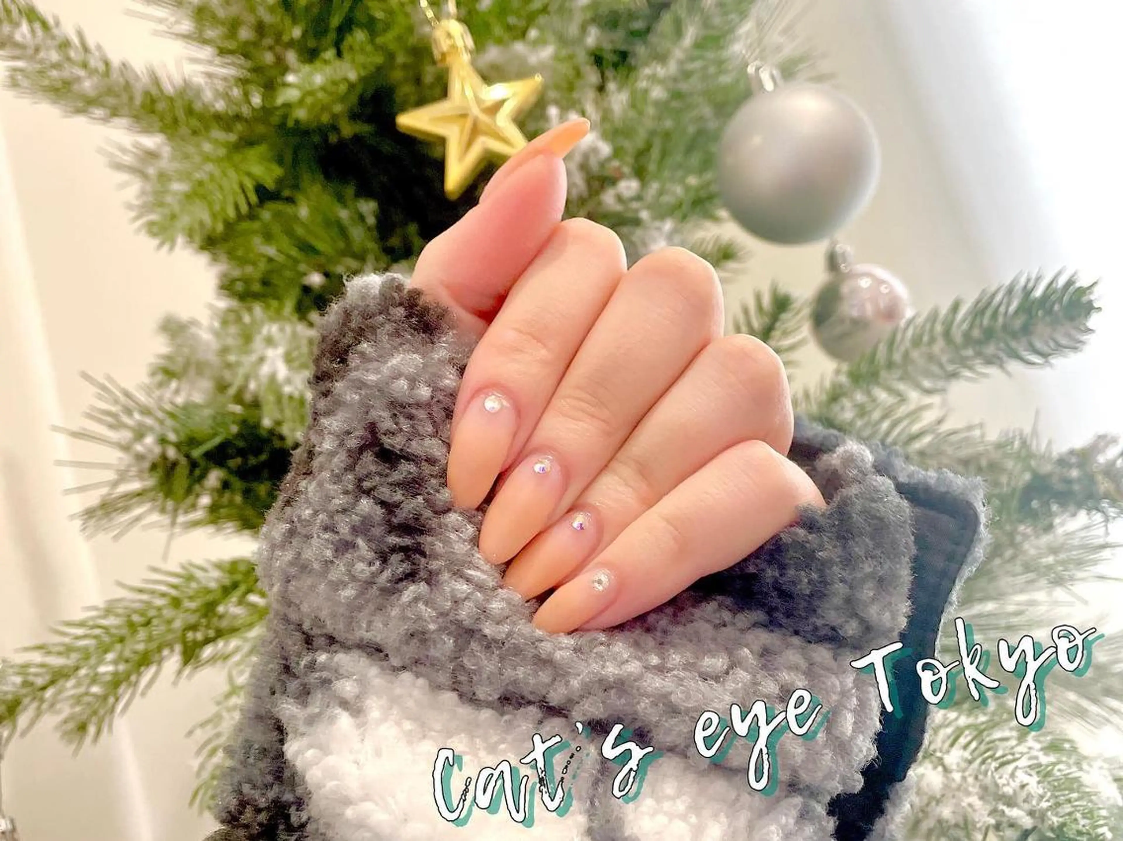 ネイル マツエク・マツパ グラデーション マットネイル Cat's eye TOKYO 新宿店のネイルデザイン