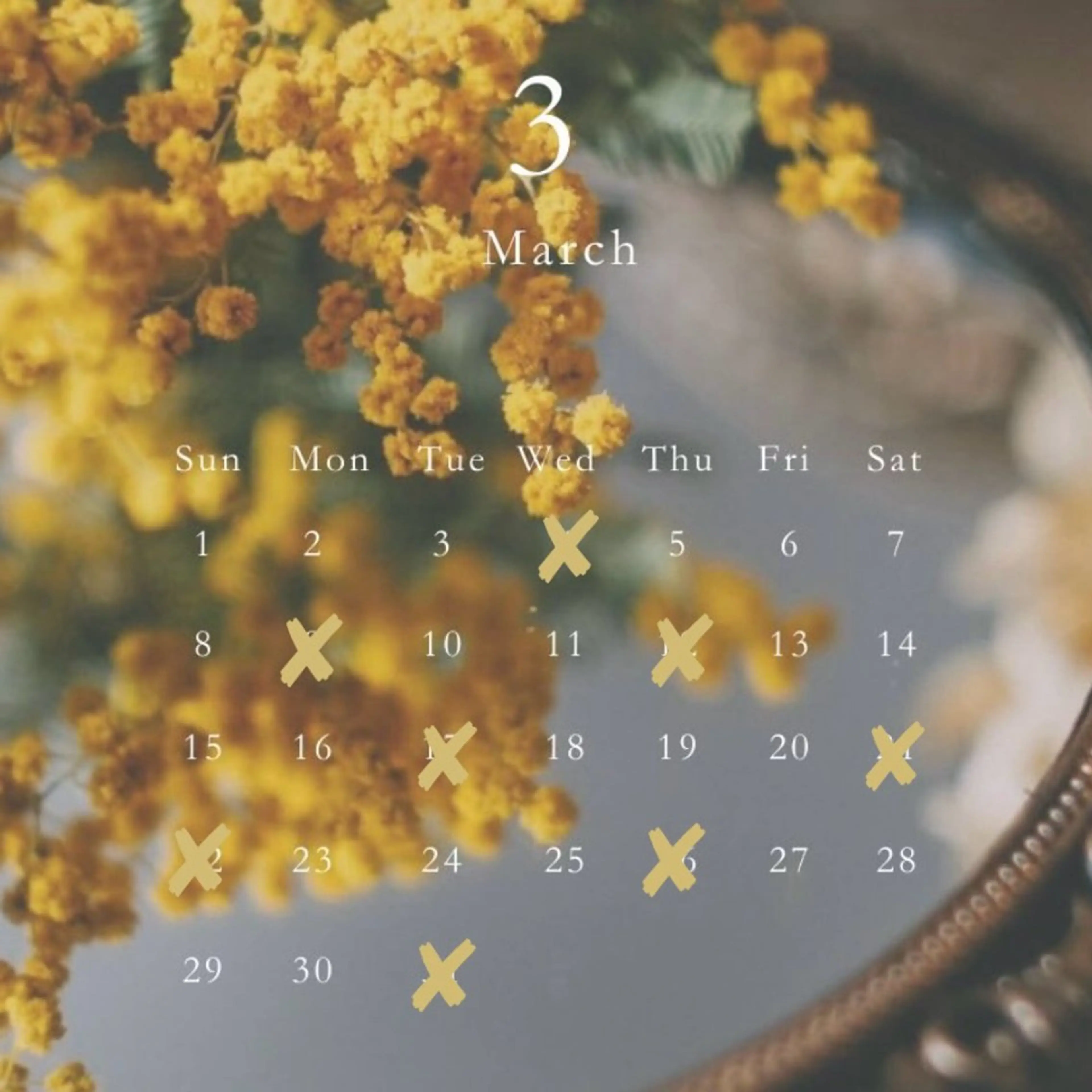 miloc minamiのヘアスタイル