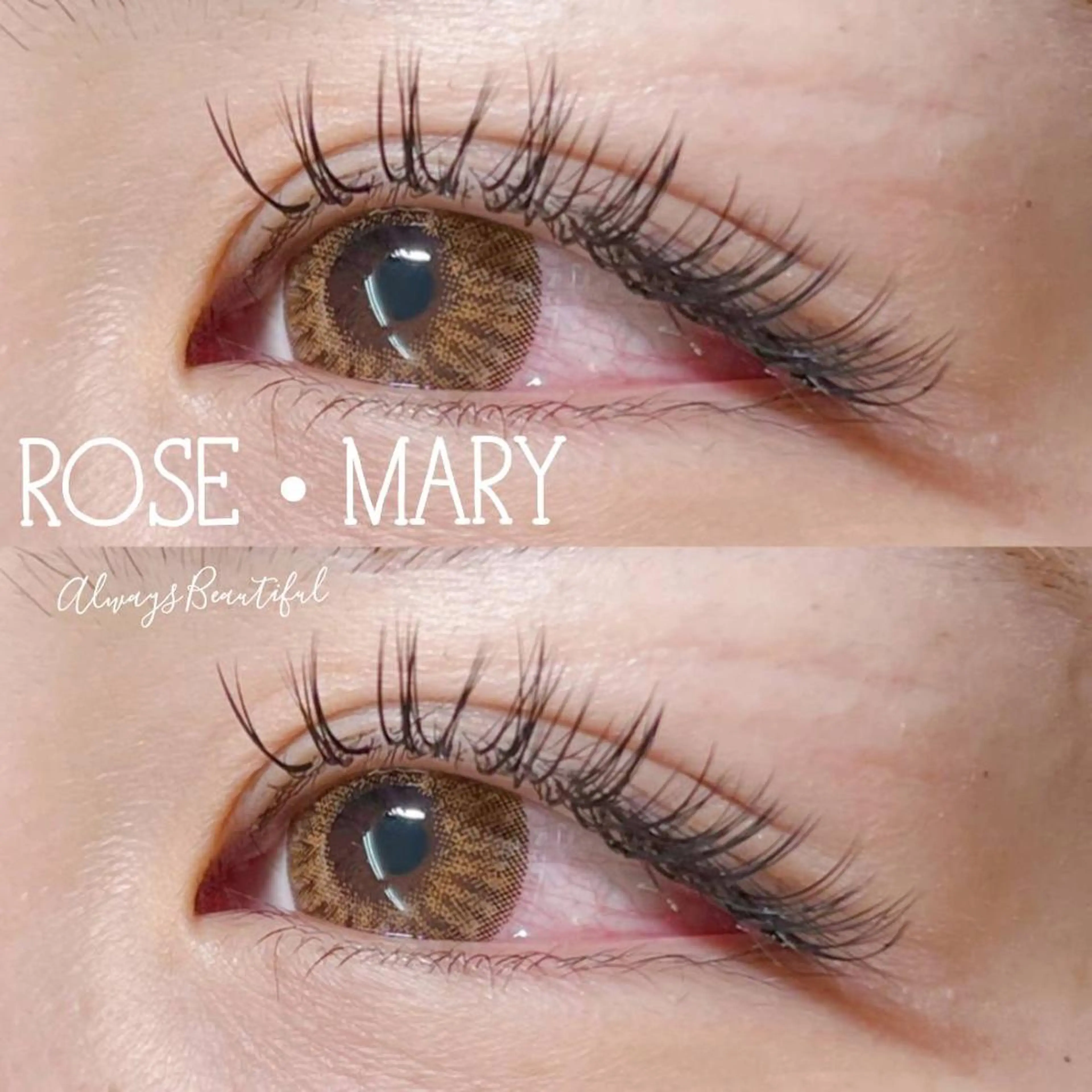 マツエク・マツパ Cカール マツエク ROSE MARY 大竹のマツエク・マツパデザイン