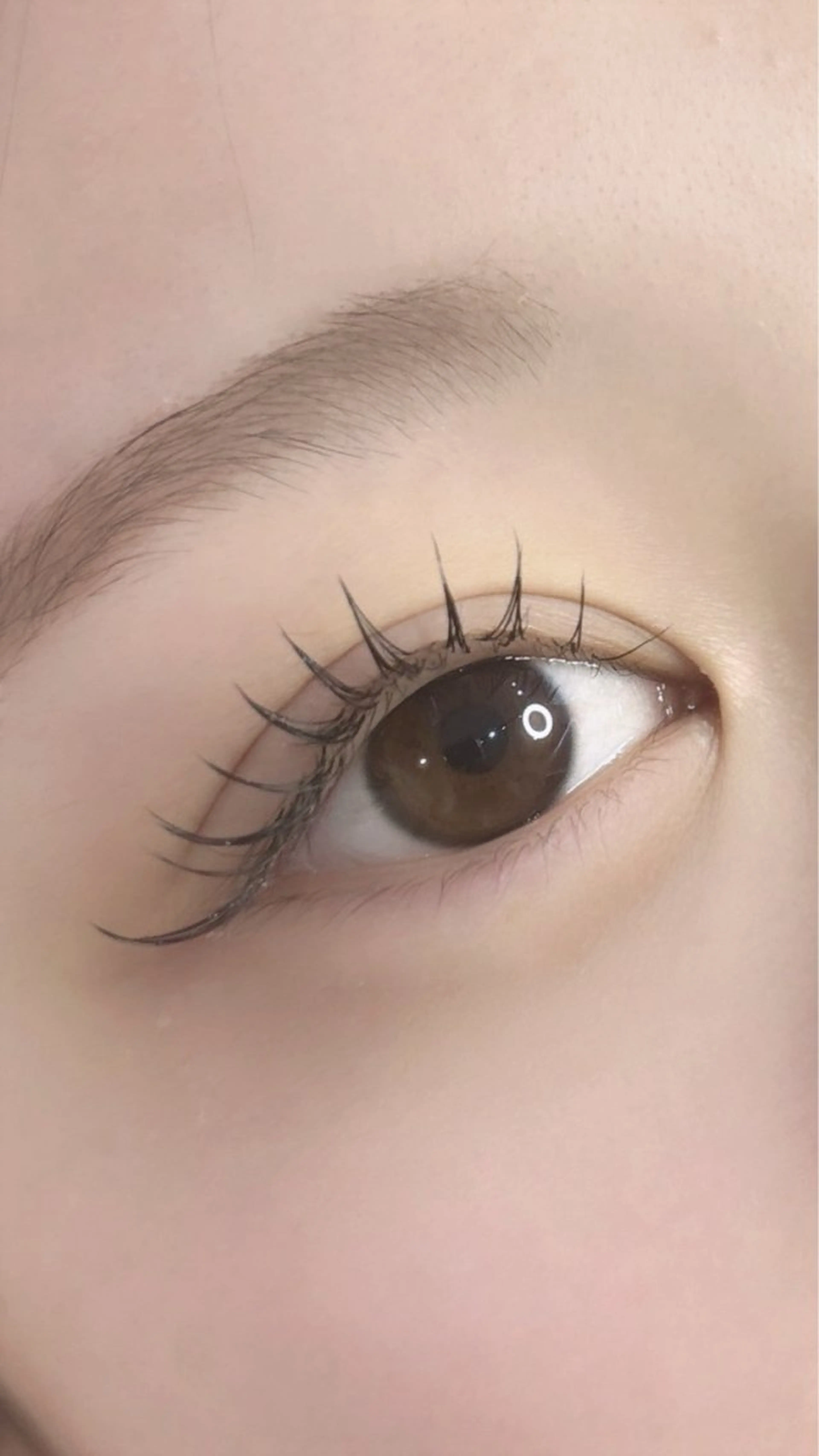 マツエク・マツパ フラットラッシュ セクシー Poppo所属・poppo有働 ひかりのマツエク・マツパデザイン