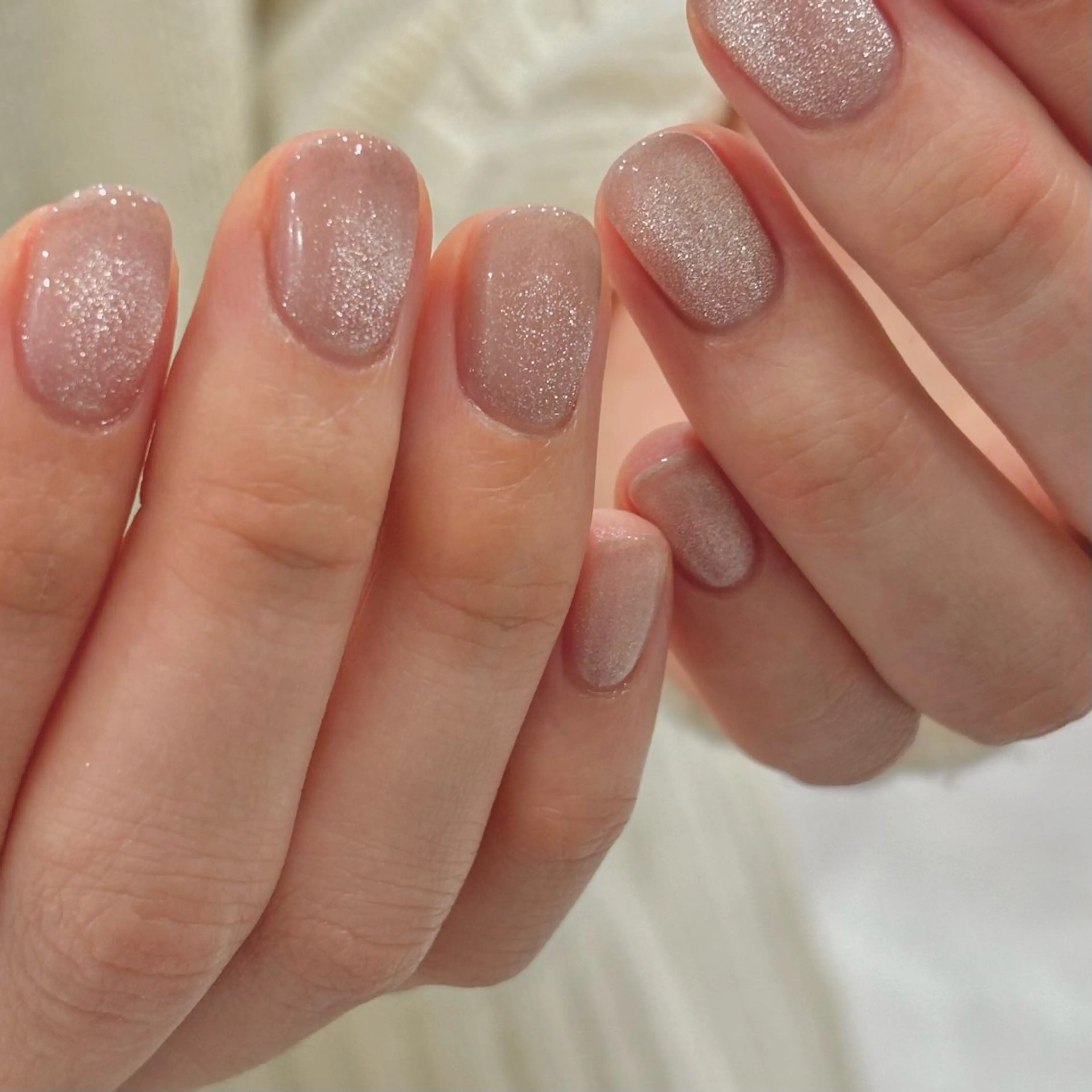 【限定！】【オフなし】マグネット10本 通常価格¥5200の写真