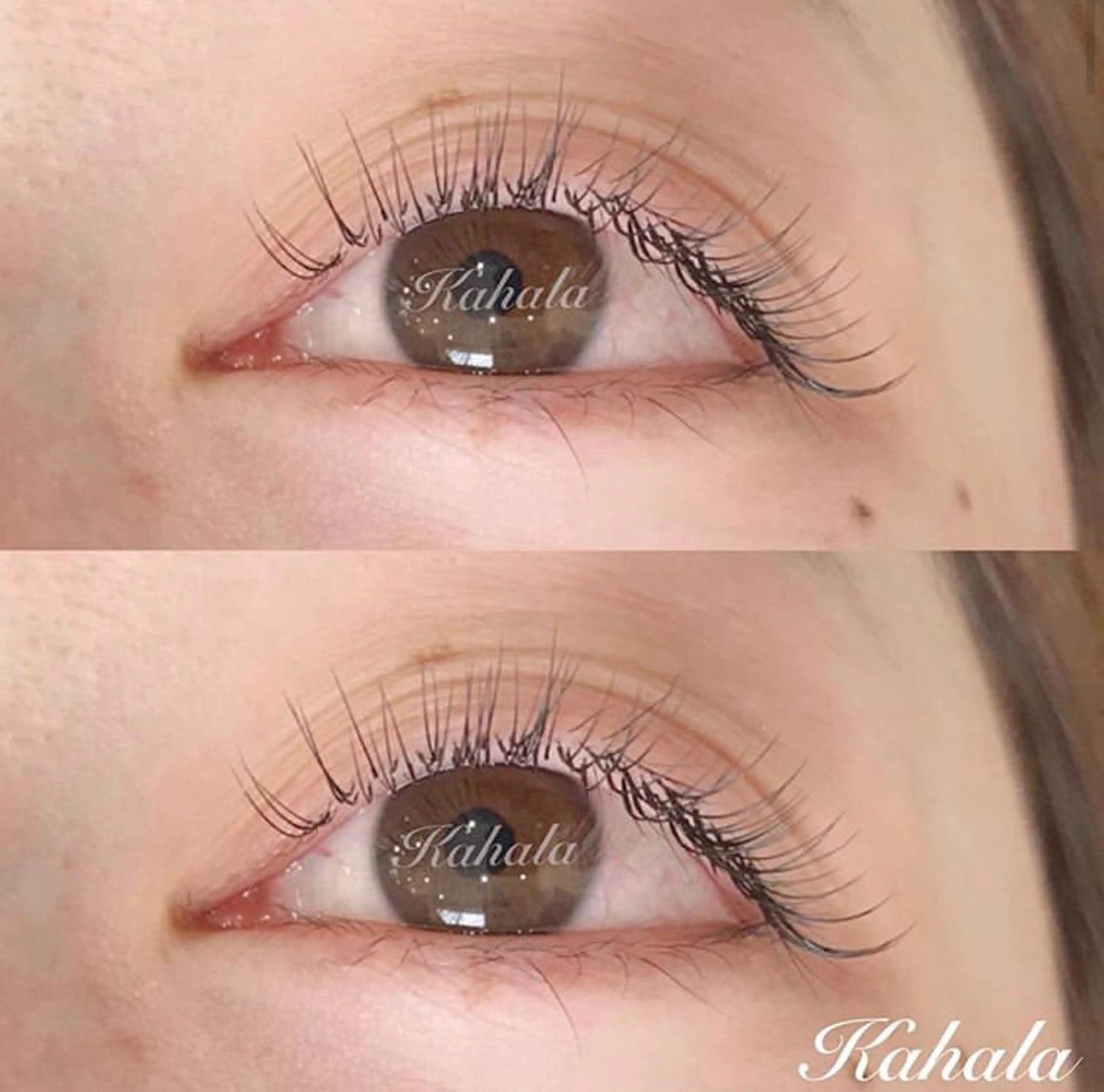 マツエク・マツパ Fujimoto 🦭⸝⋆꙳のマツエク・マツパデザイン