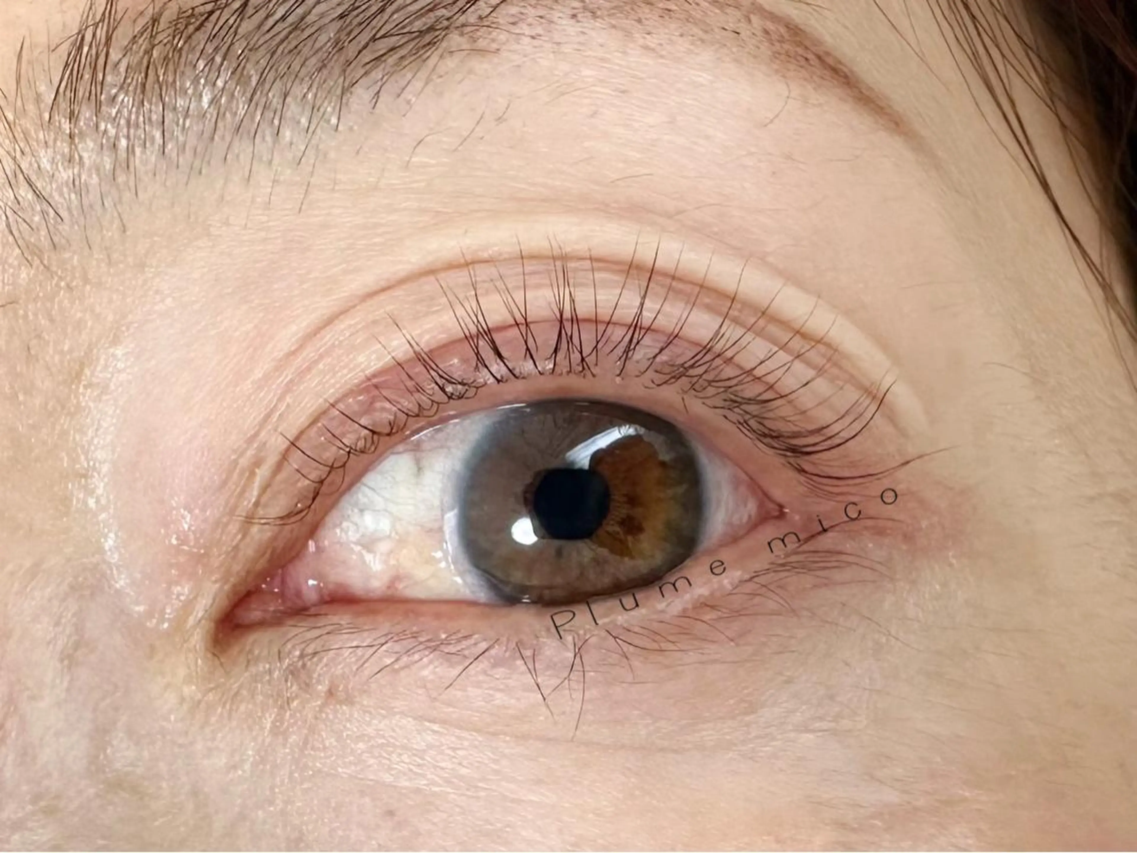 マツエク・マツパ マツパ Plume micoのマツエク・マツパデザイン