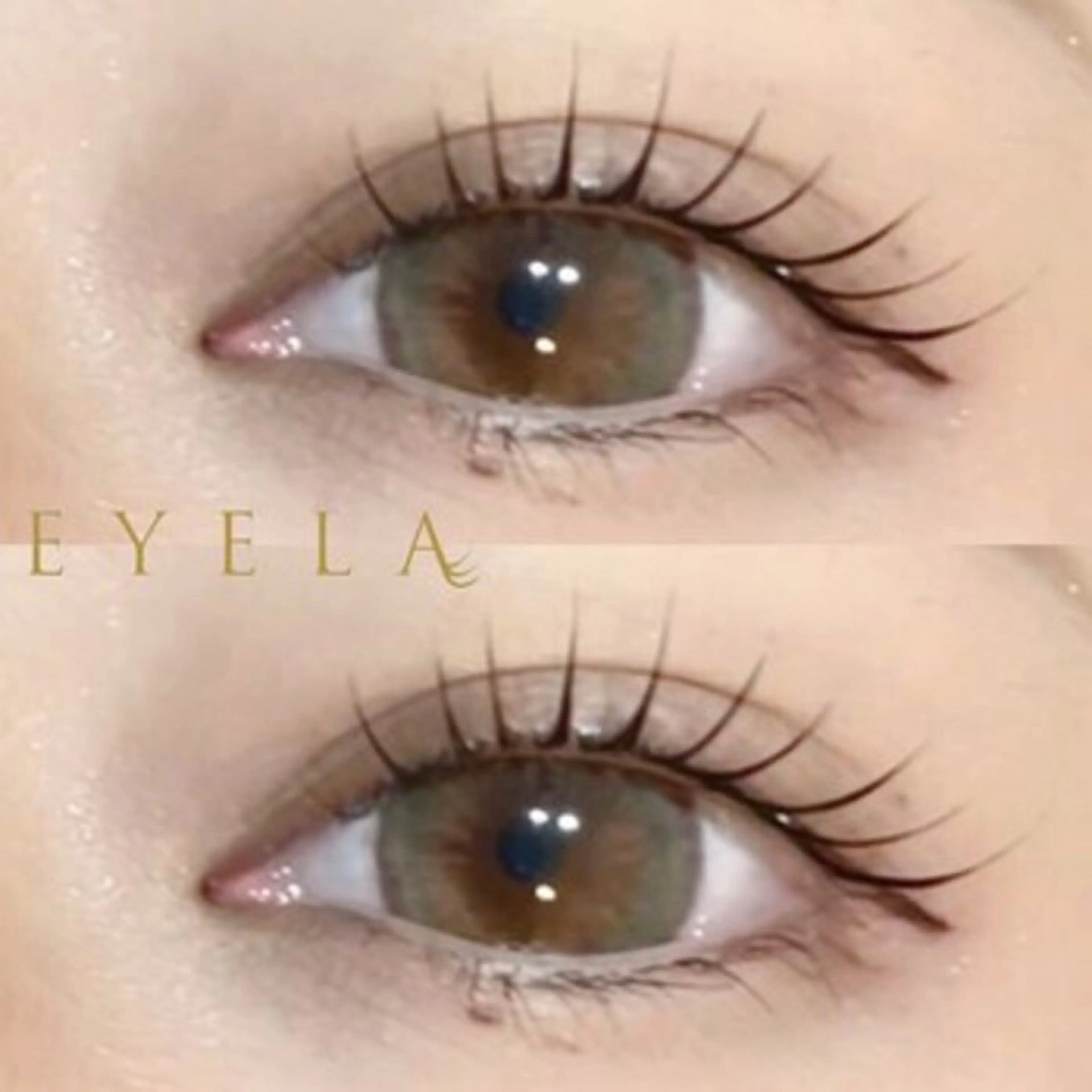 メーテル♥コーティング仕上げ付き*.+ﾟの写真