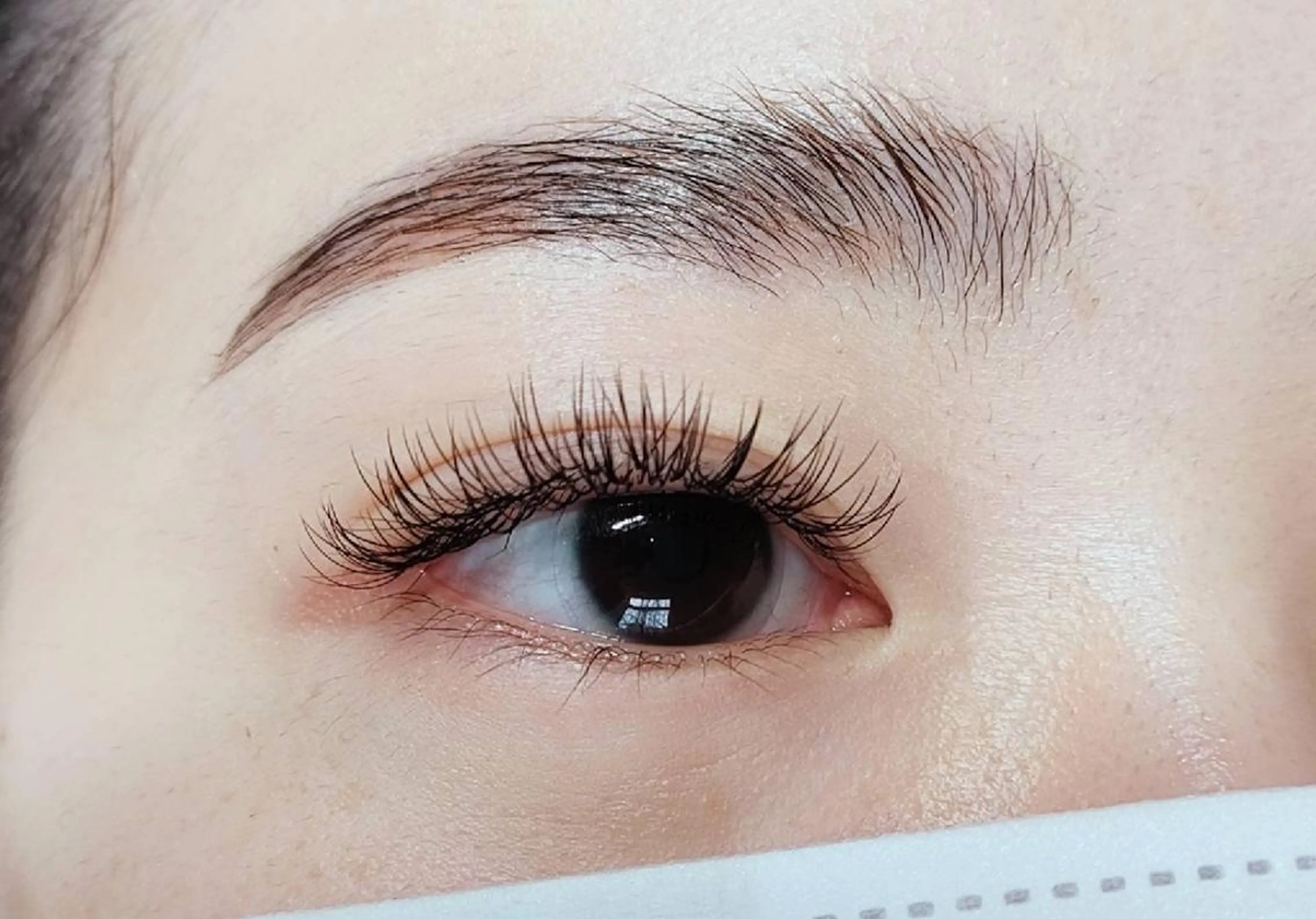 マツエク・マツパ 付け放題 フラットラッシュ Lampiilo 　eye&browのマツエク・マツパデザイン