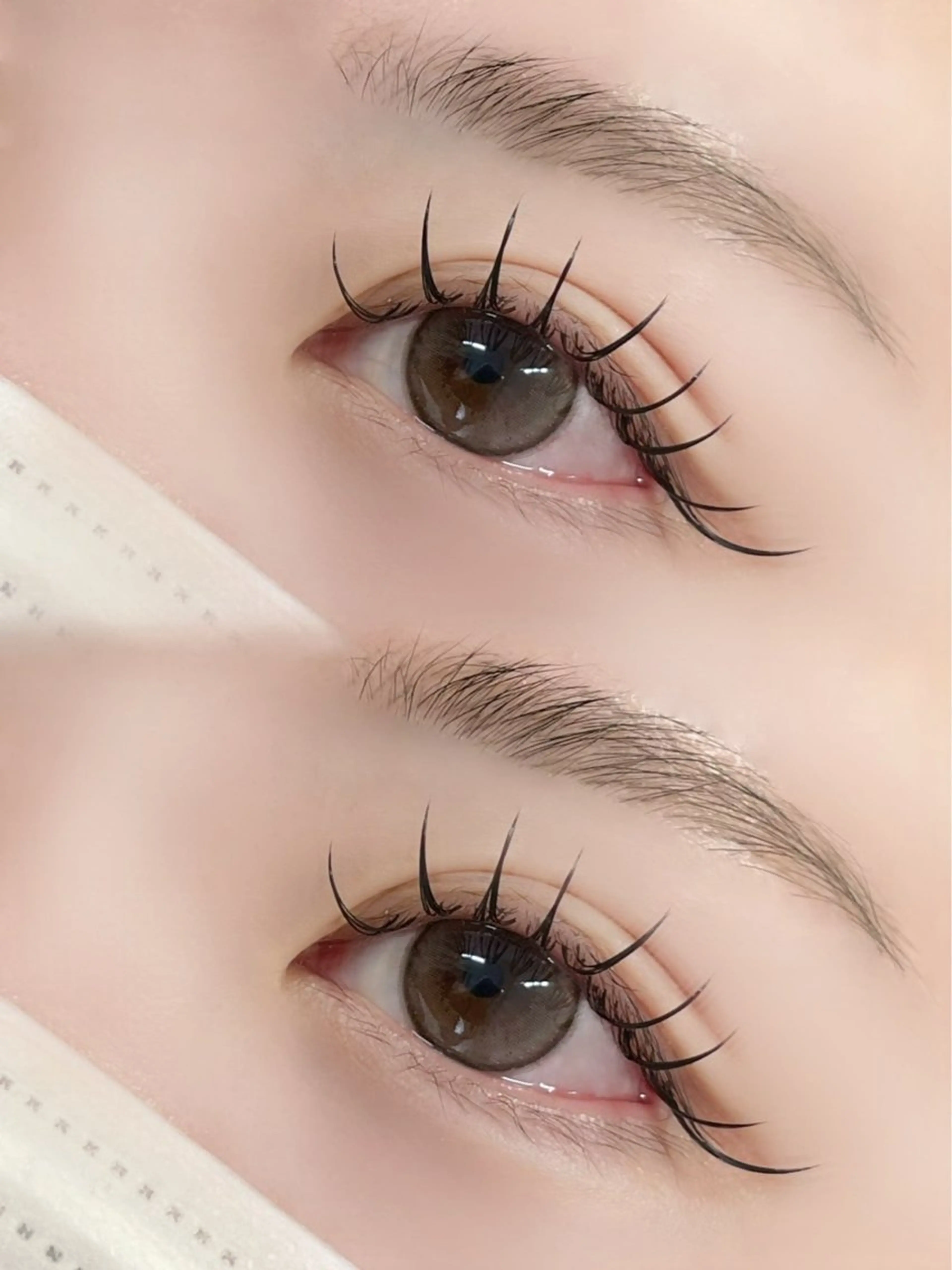 【エクステ୨୧】ダブルフラットマットラッシュ120本 60束の写真