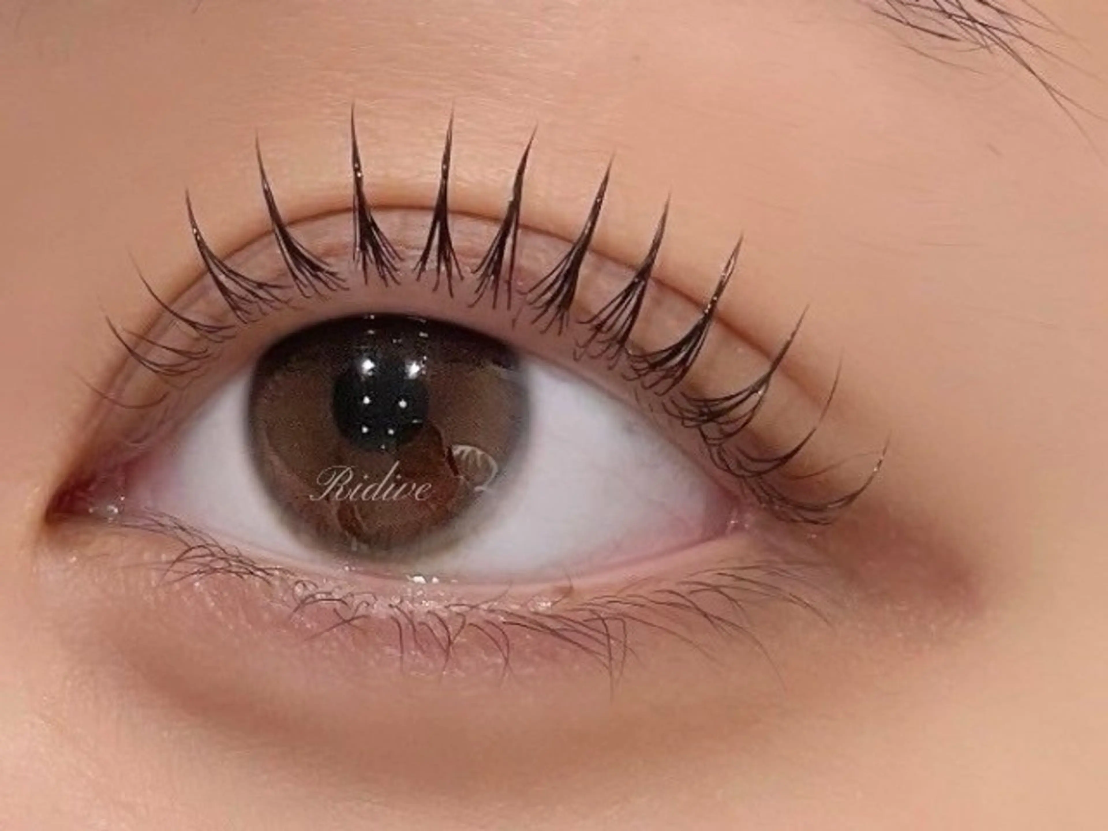 パーマ アイブロウサロンRidive武蔵小杉所属・Ridive Endo🍙の眉毛・アイブロウイメージ