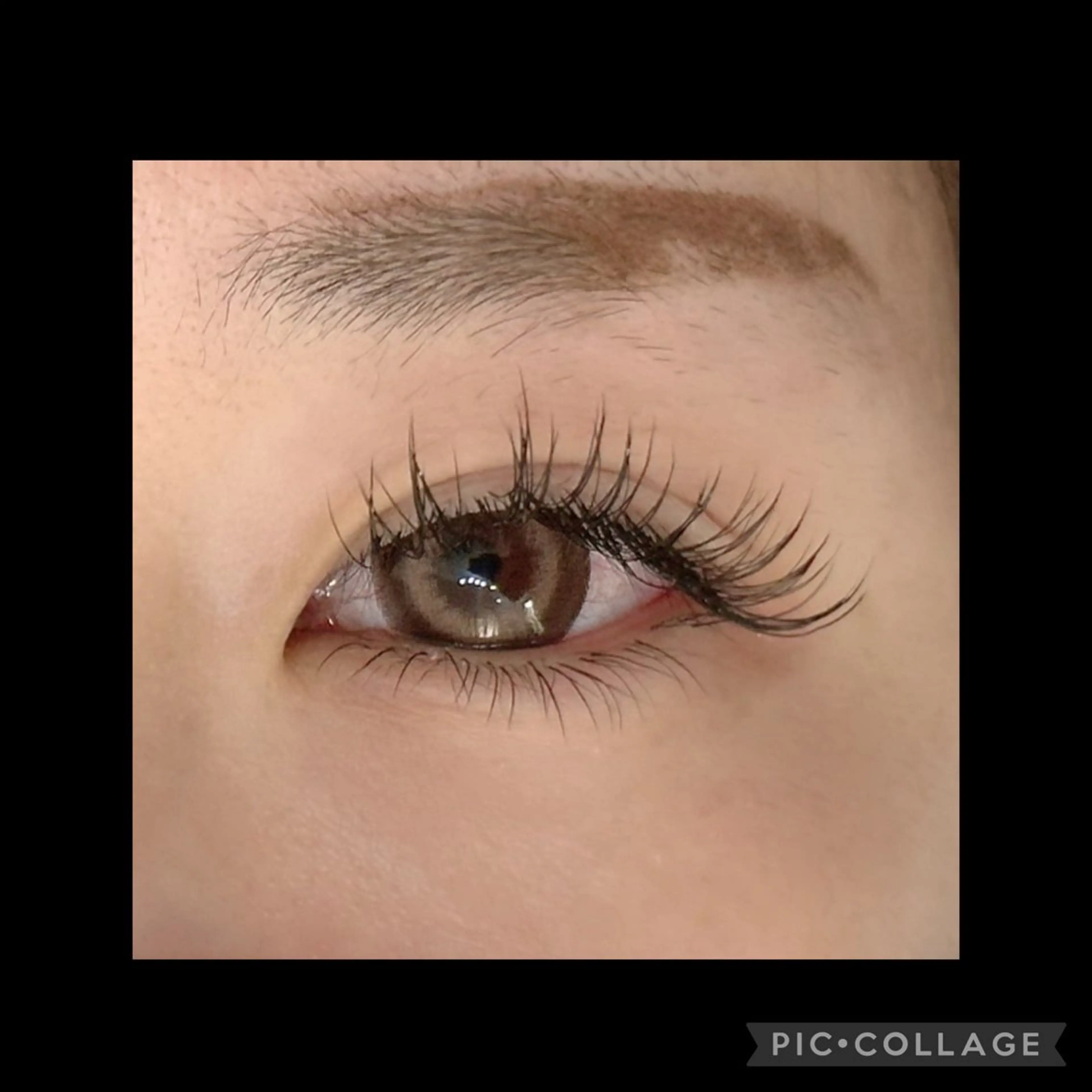 マツエク・マツパ 付け放題 マツエク Charme coco 八尾店所属・Charme coco／かなめのマツエク・マツパデザイン