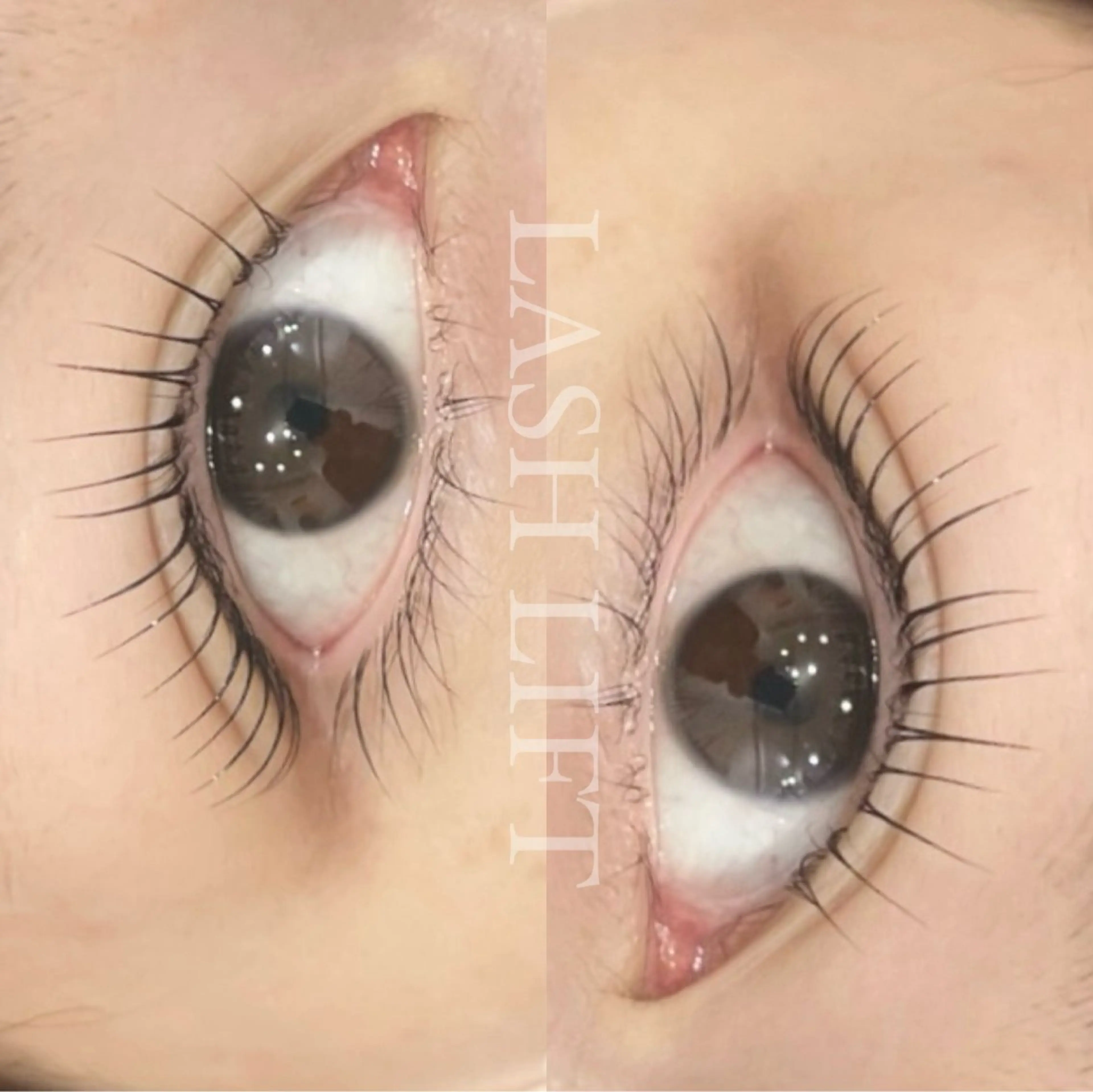 上下┊︎Lash lift🪽ྀིの写真