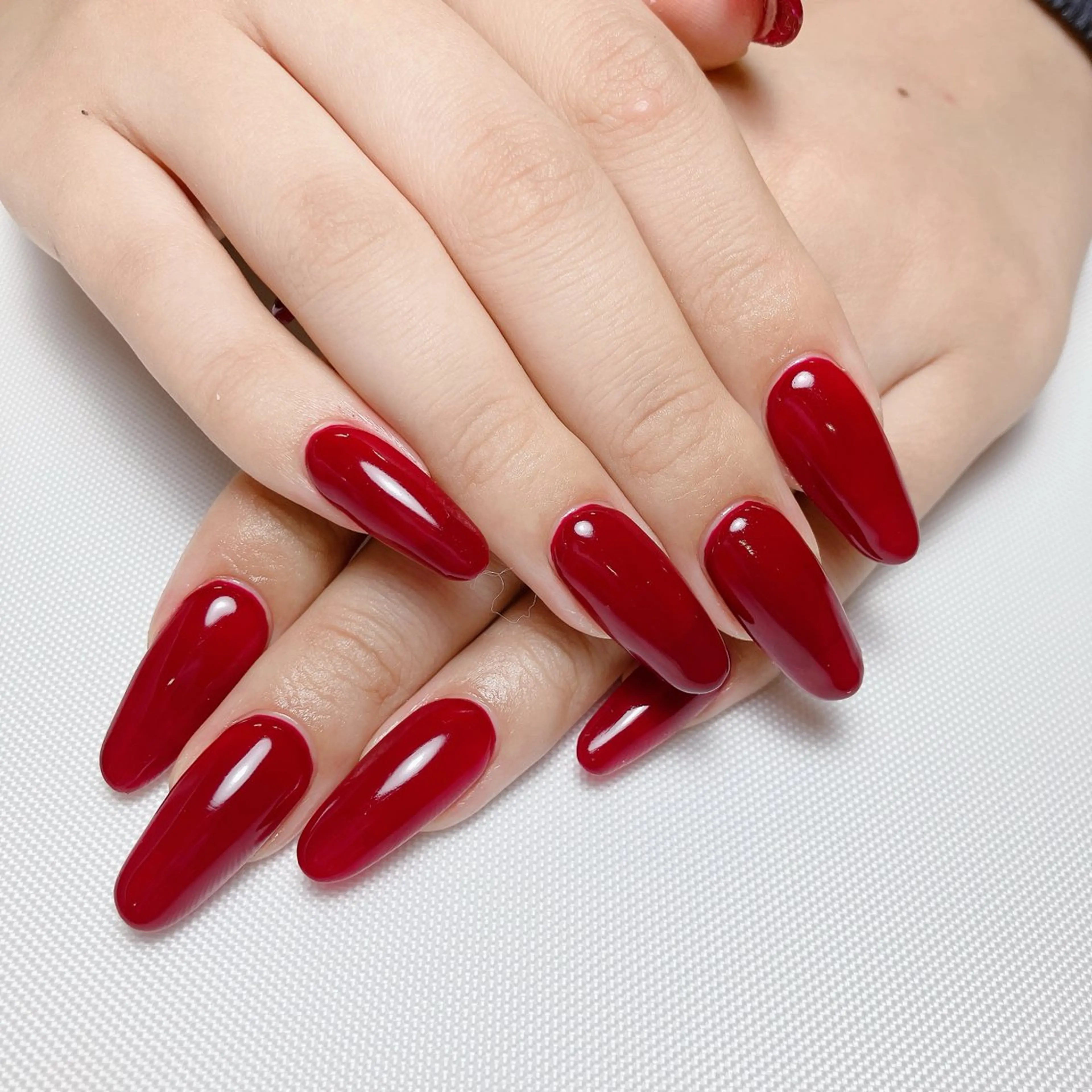 🎀チップ10本長さ出し🎀ワンカラーorラメグラorカラグラ(オフなし)の写真