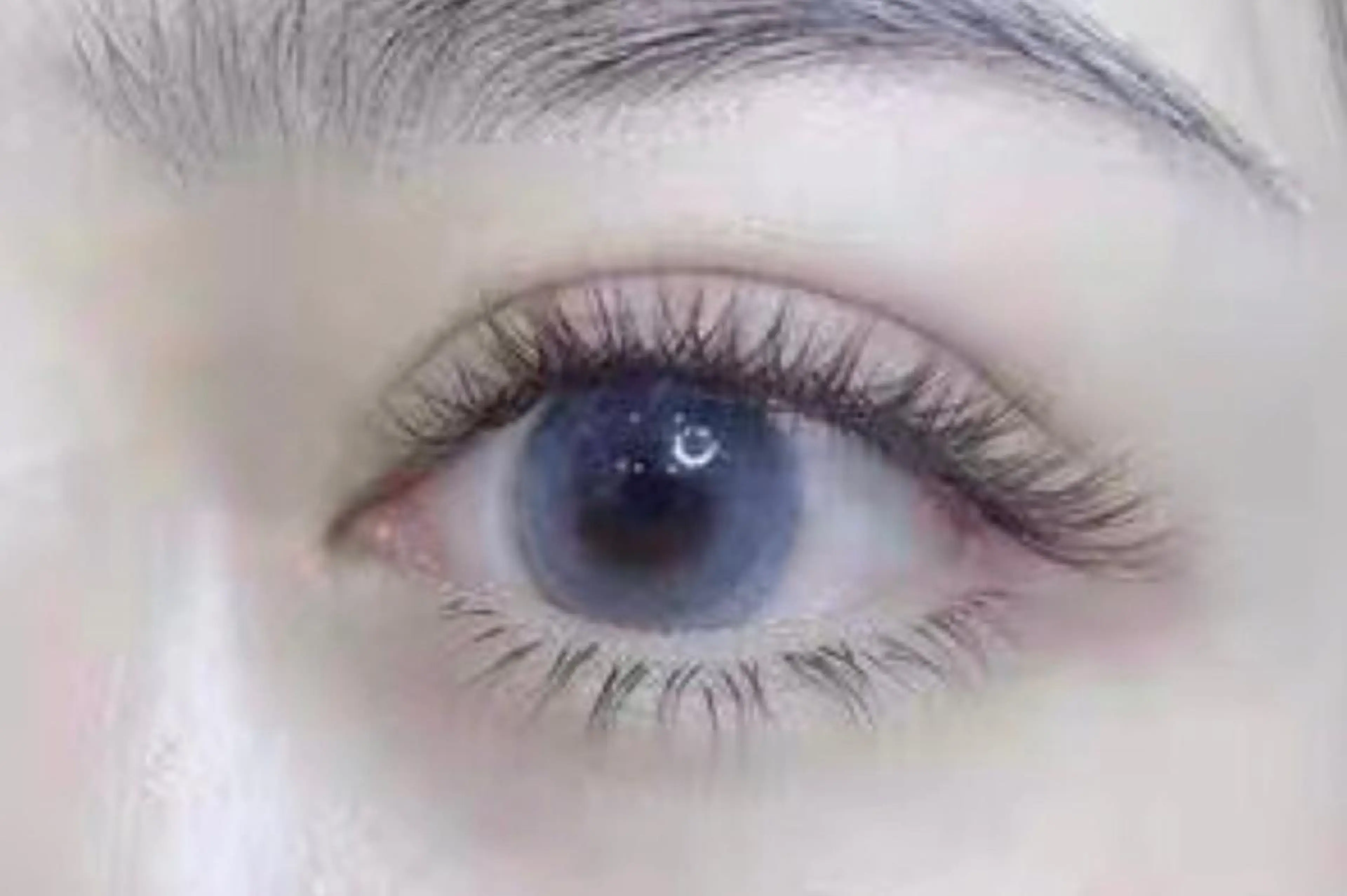 マツエク・マツパ 付け放題 Livnus リブナスのマツエク・マツパデザイン