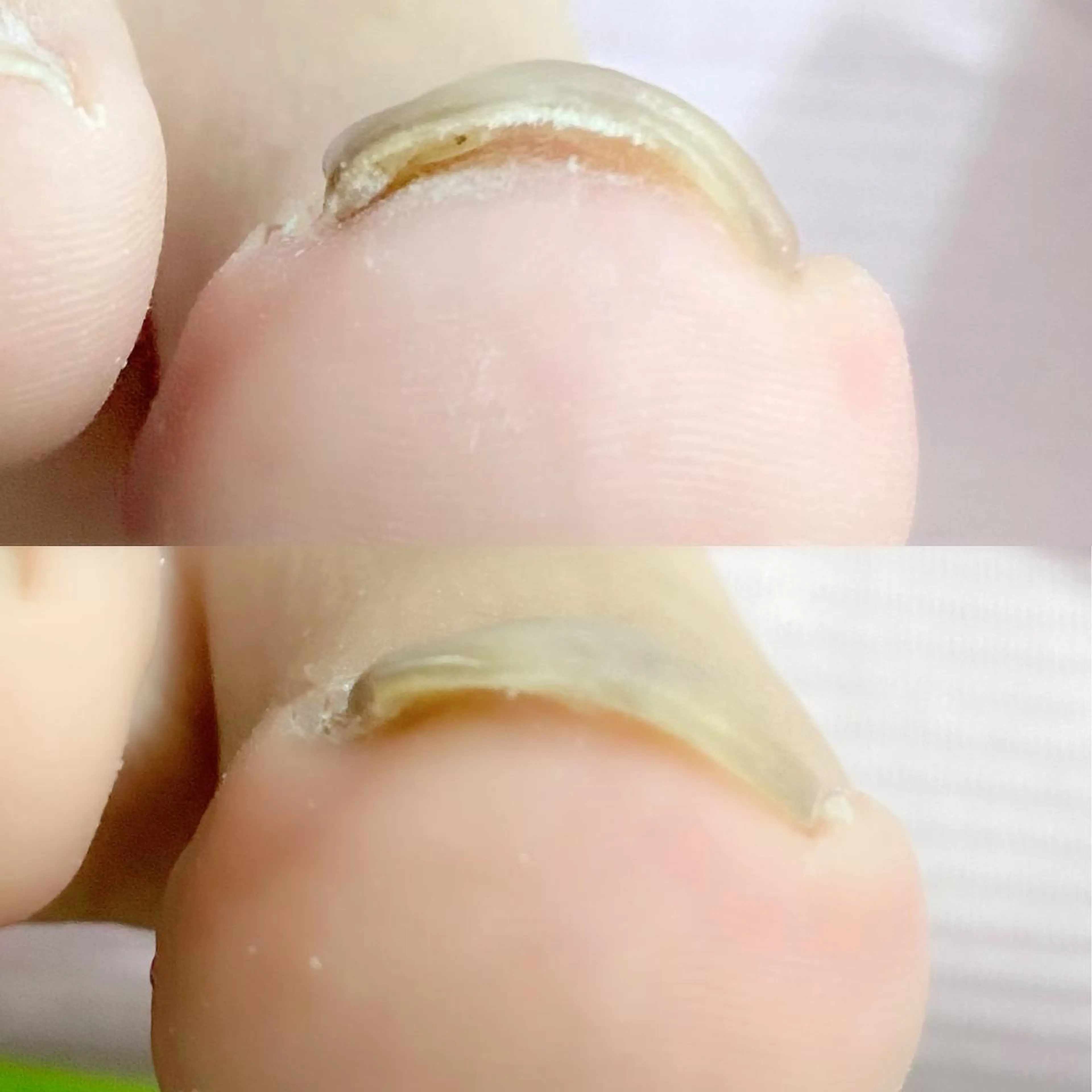 ショート カラー パーマ ヘアアレンジ メンズ キッズ ネイル マツエク・マツパ アイブロウ Salon Ｋのネイルデザイン