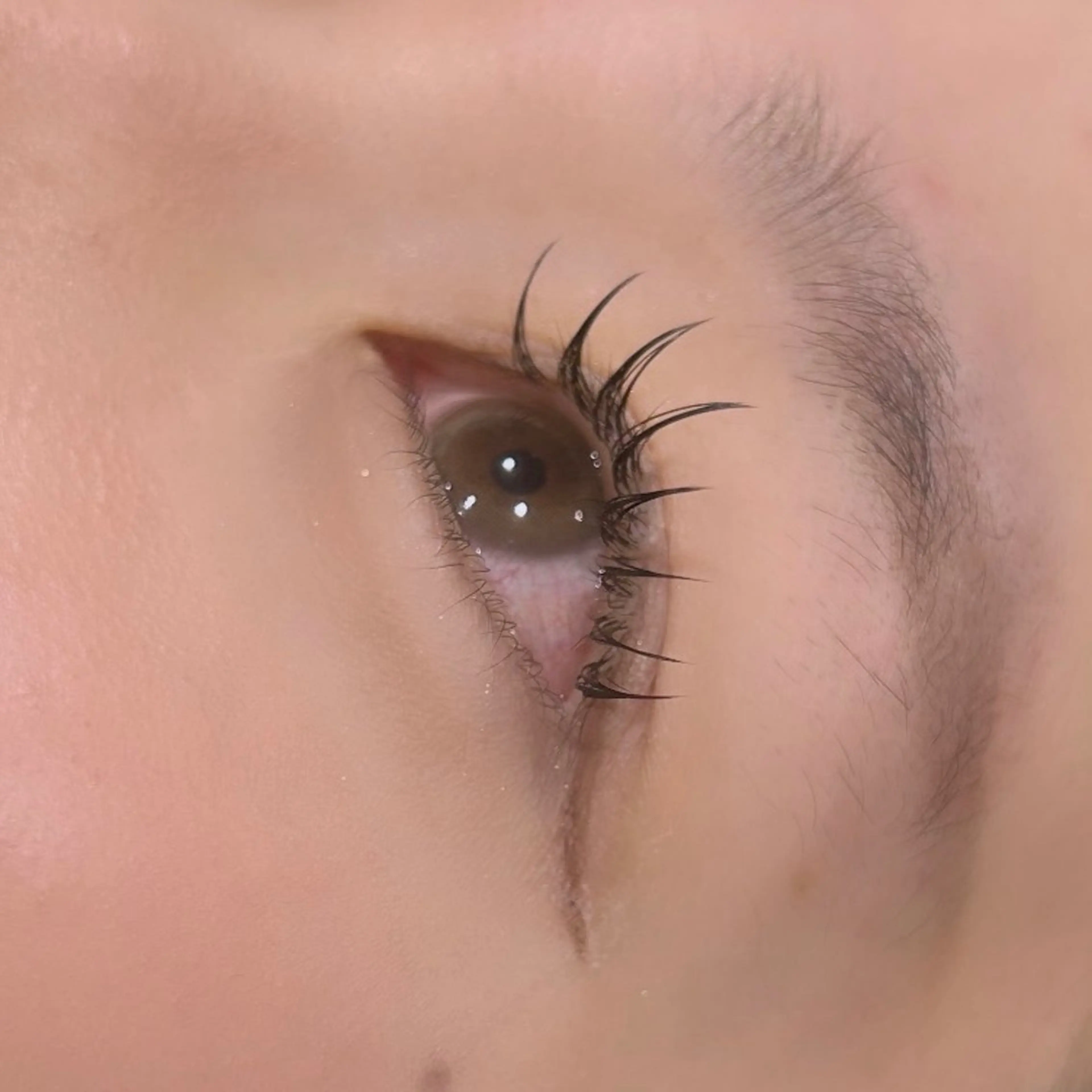 マツエク・マツパ hair&eye🎀 /momoKaのヘアスタイル