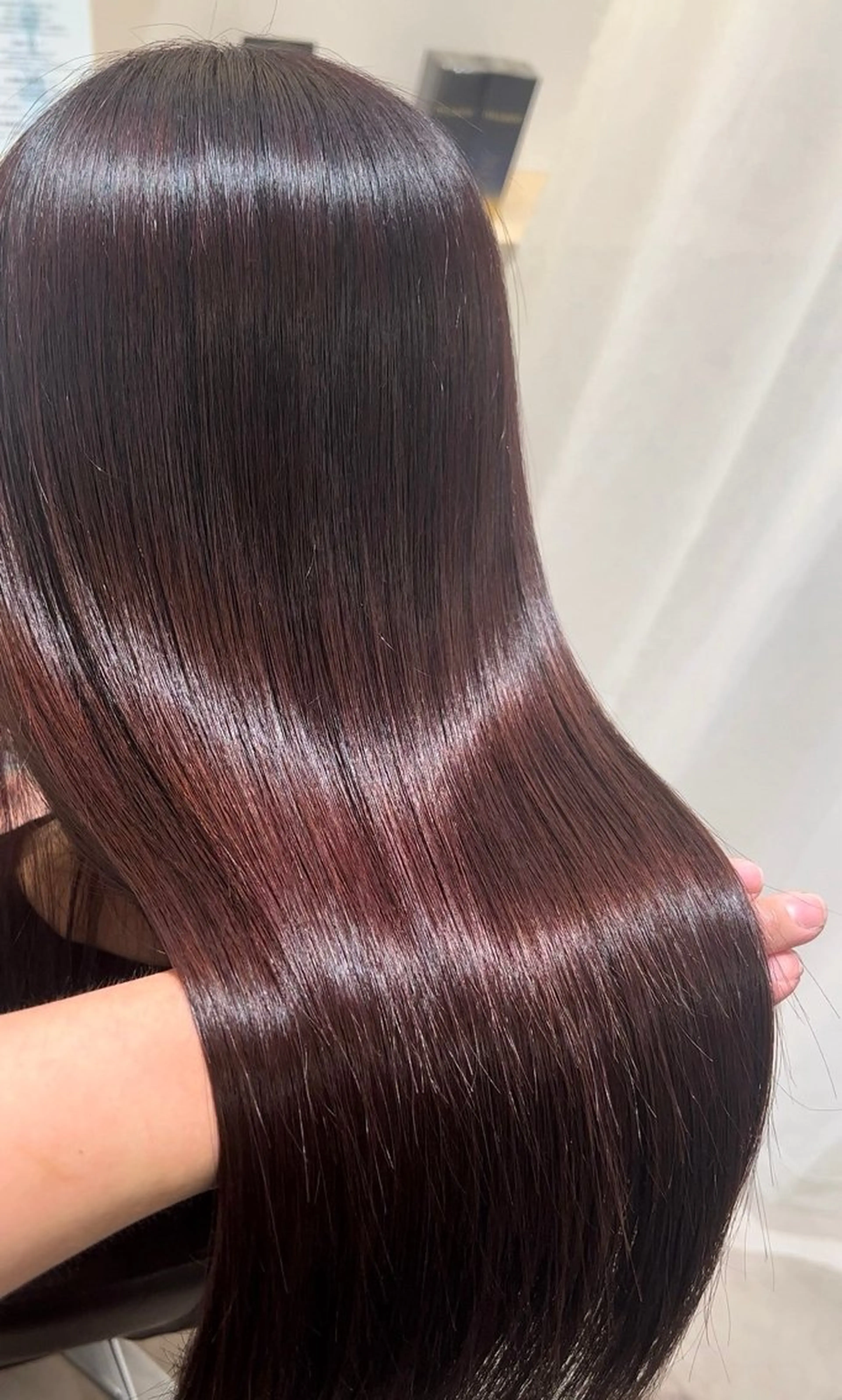 ワンカラーの写真