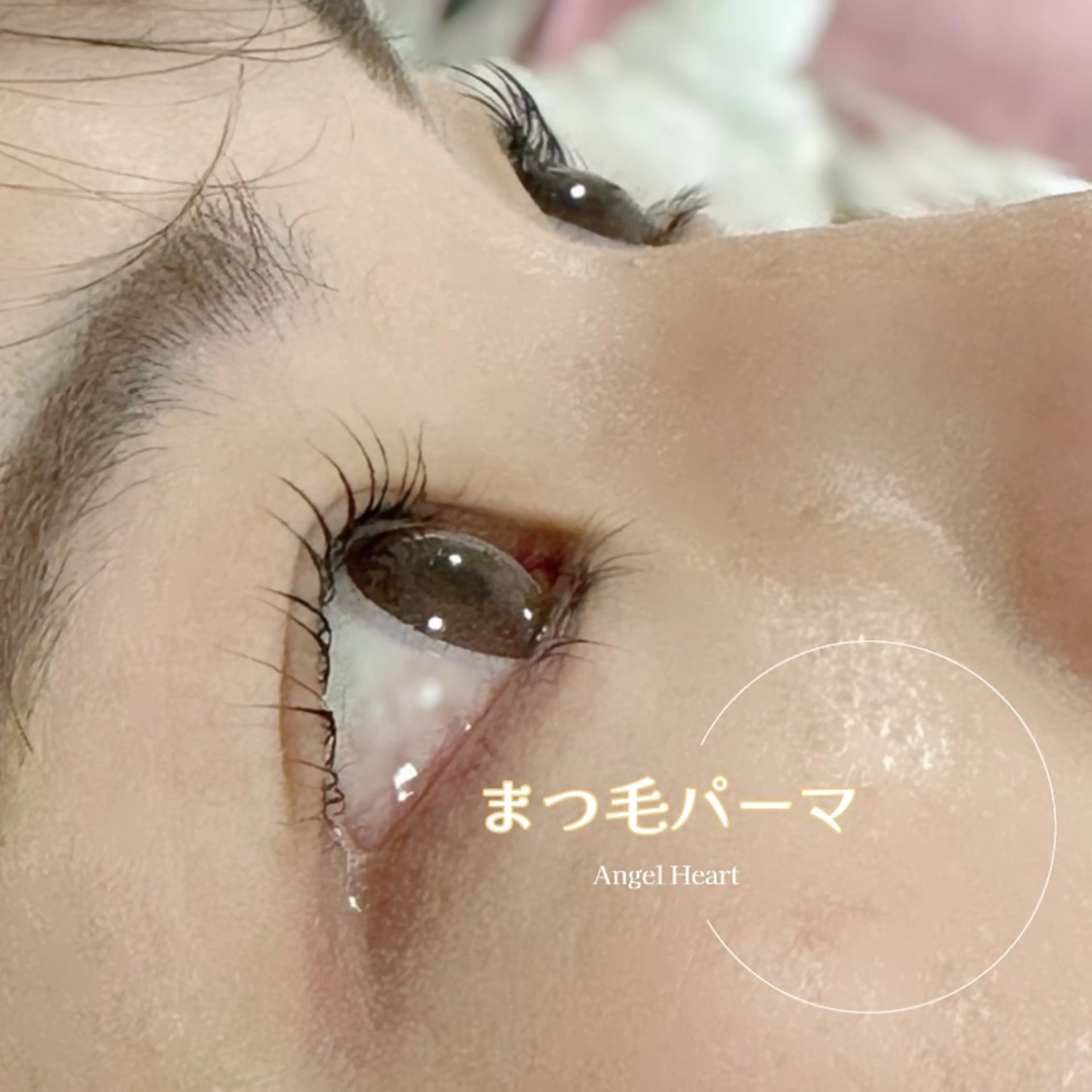 マツエク・マツパ エンジェルハート所属・エンジェルハート 林田のマツエク・マツパデザイン