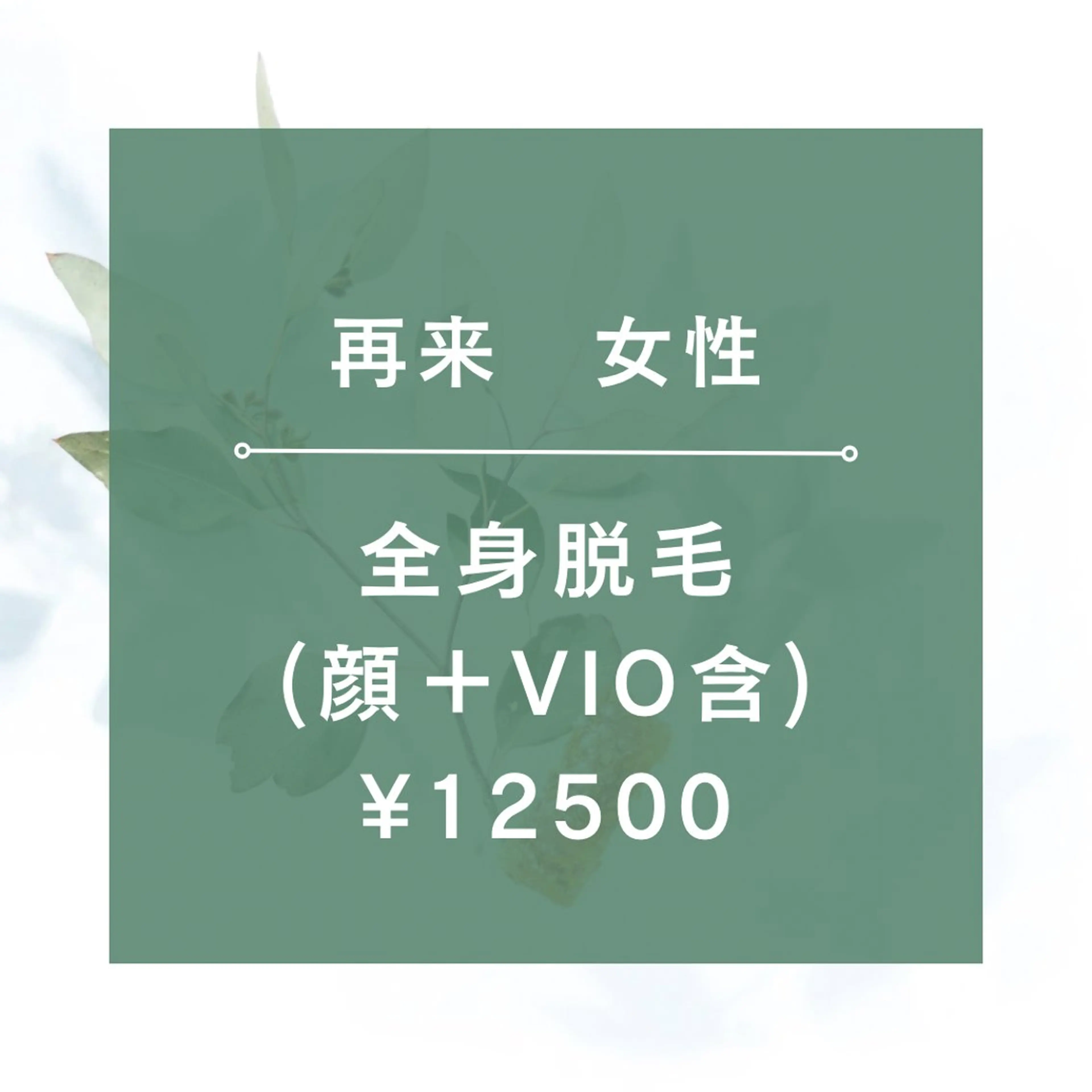 【再来女性】★☆全身脱毛(全顔+VIO含)/¥12500☆★90分の写真