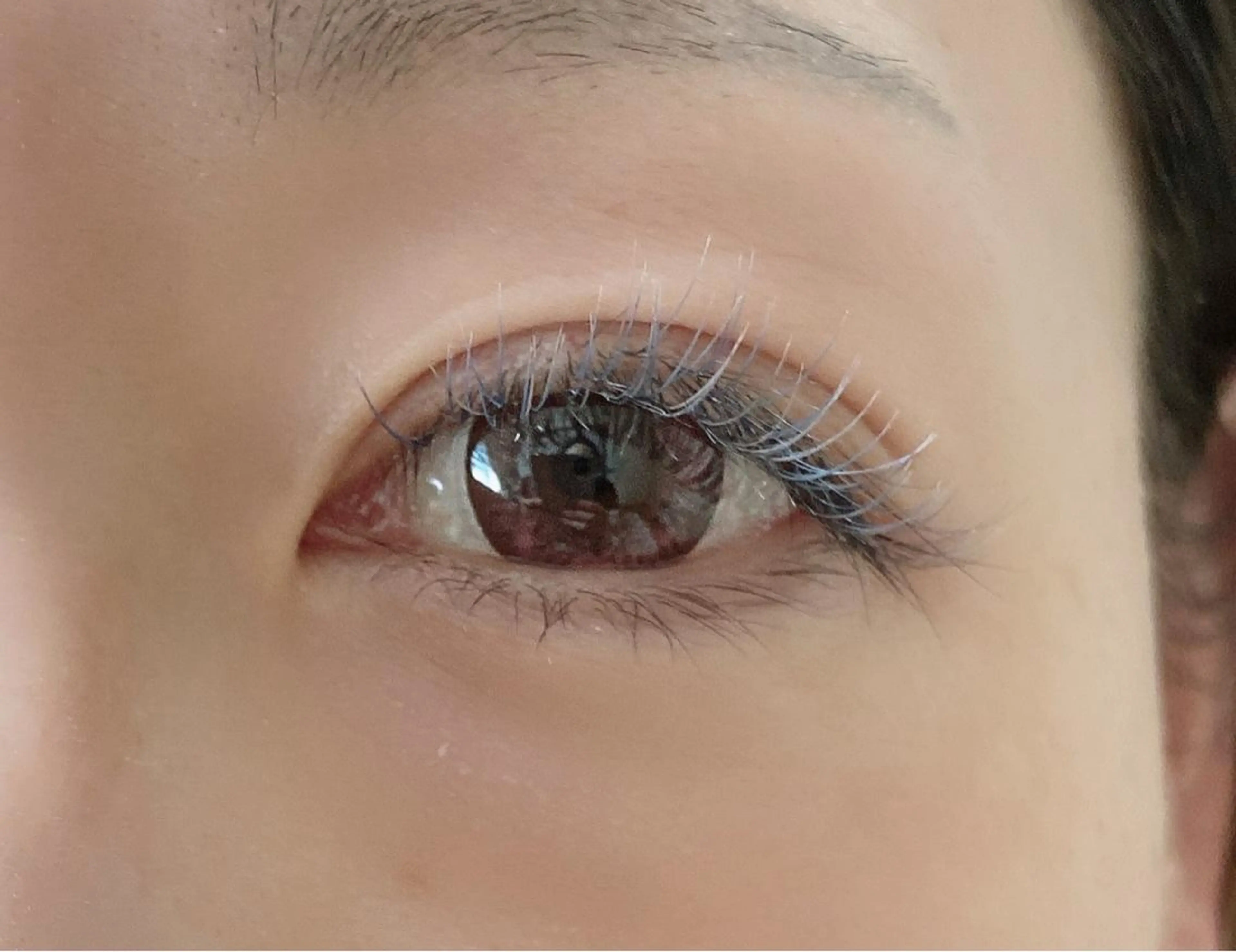 新規様限定割引、最新技術LEDマツエク導入キャンペーン⭐️140本フラットマットラッシュ、オフ無料、コーティング付き✨の写真