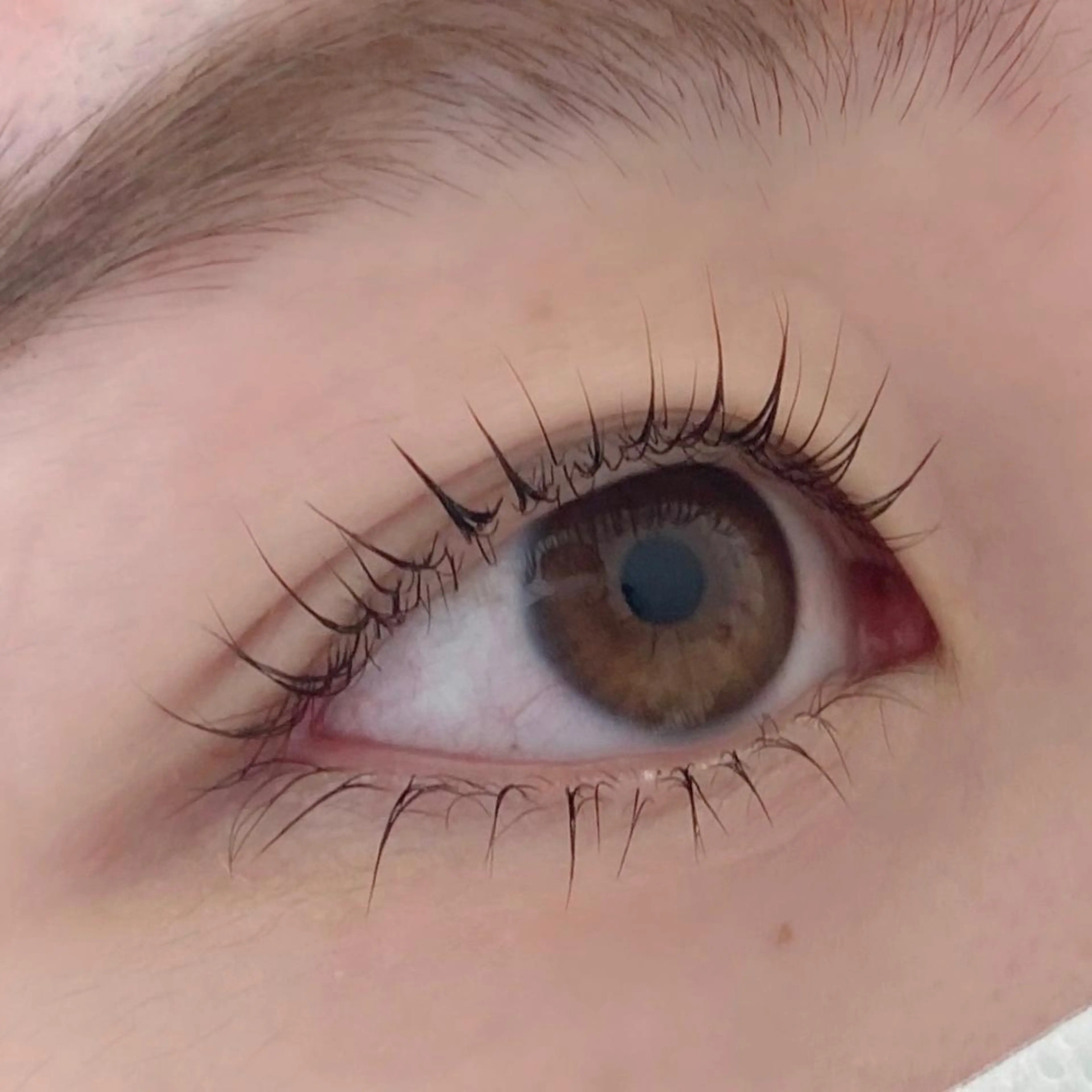 マツエク・マツパ Bianca横浜関内 NOSHITA𓆉のマツエク・マツパデザイン