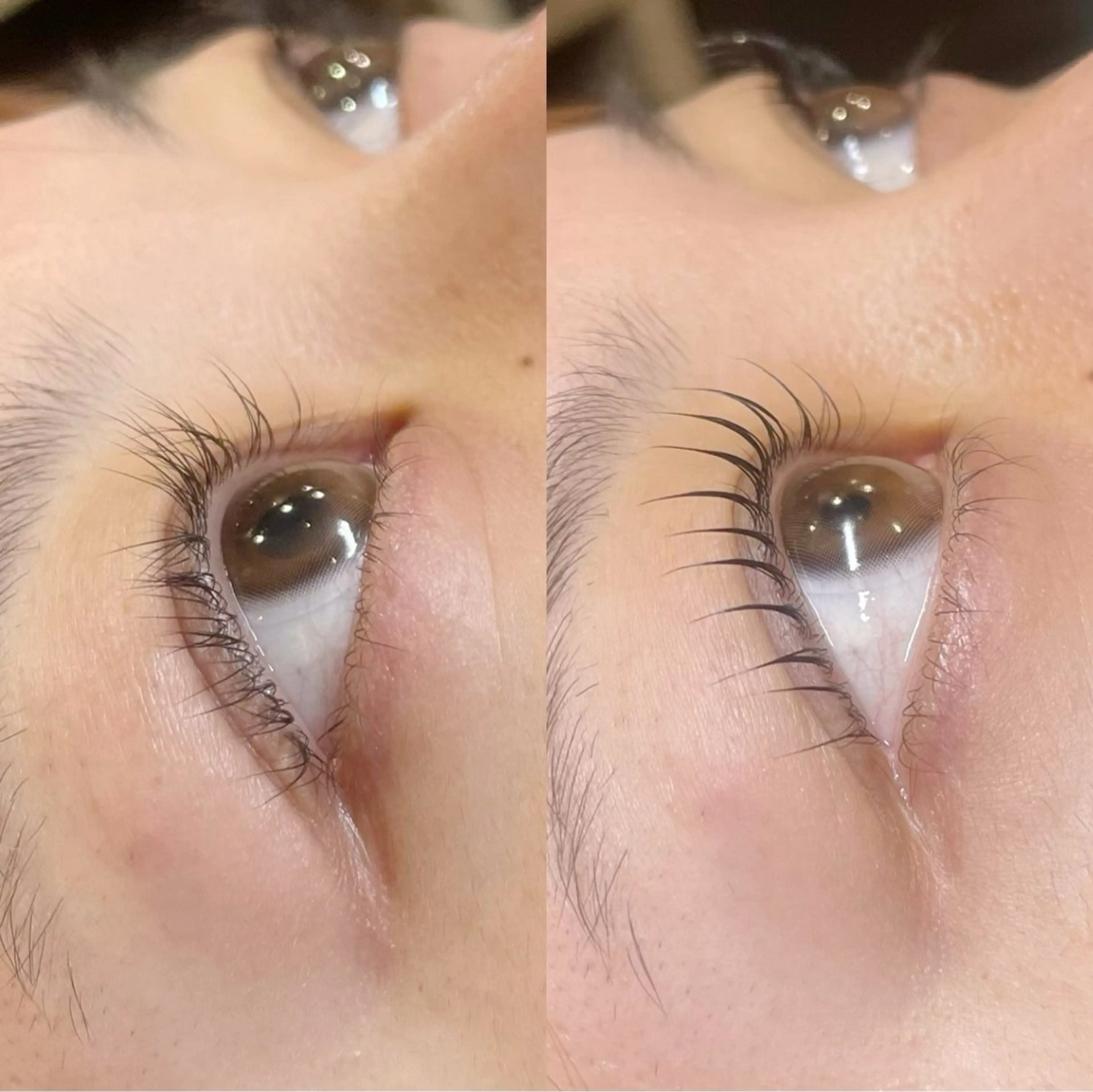 マツエク・マツパ 毛染め工房【まつエク】所属・Risa/平野 /八尾/喜連瓜破のマツエク・マツパデザイン