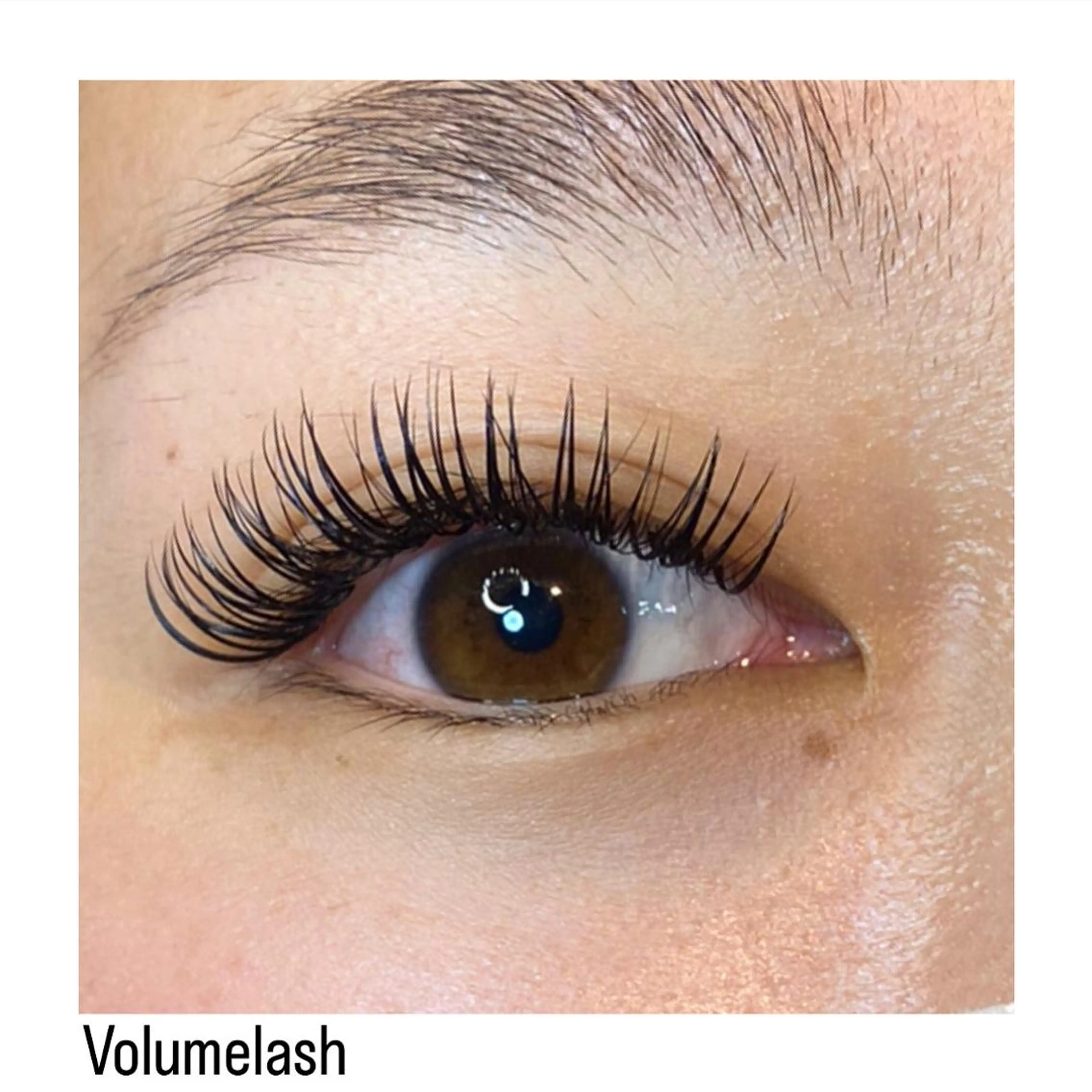 マツエク・マツパ ボリュームラッシュ MAKOTO🌹 Amaranth金山のマツエク・マツパデザイン