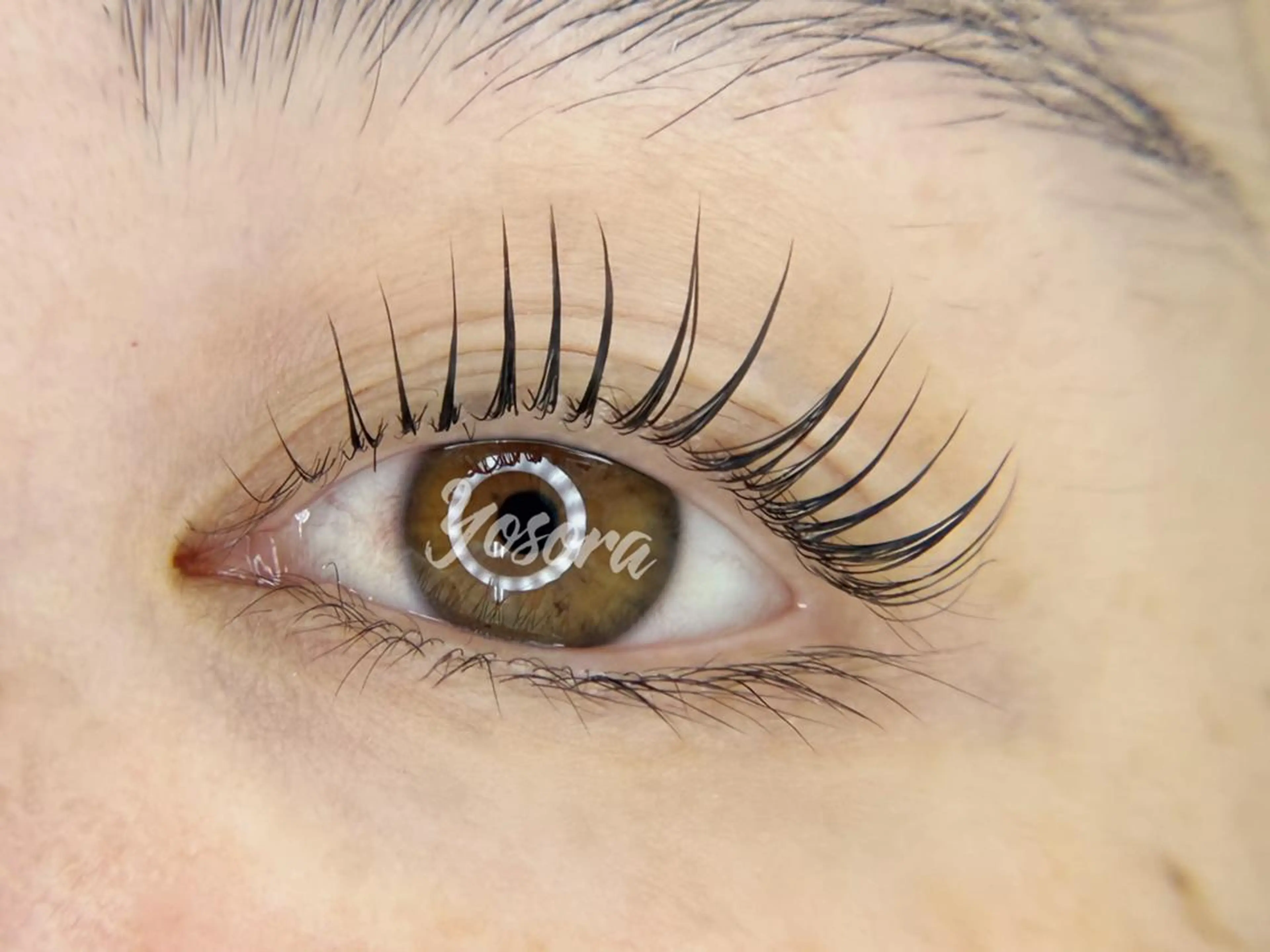 マツエク・マツパ パリジェンヌラッシュリフト マツパ Yosora salonのマツエク・マツパデザイン