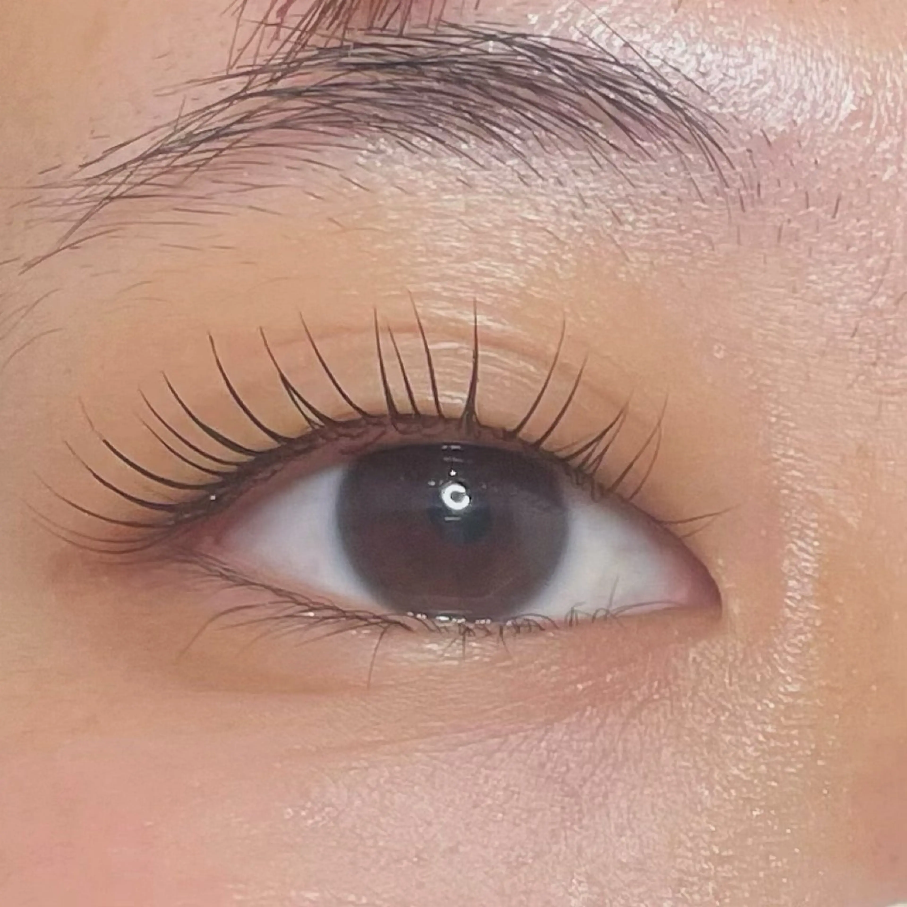 マツエク・マツパ eyelash___ hashimotoのマツエク・マツパデザイン