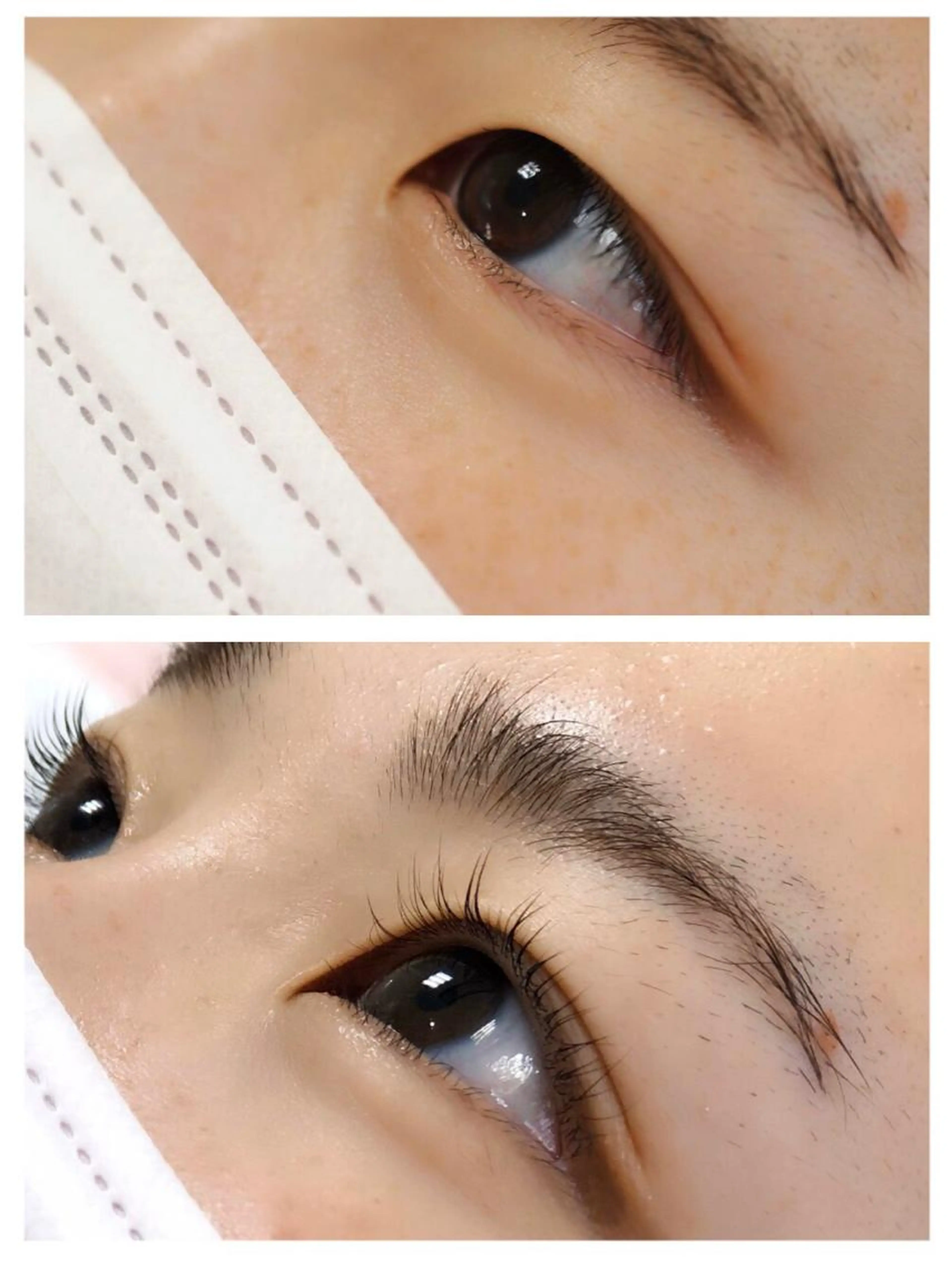 【初めての方】パリジェンヌラッシュリフト7700円→6600円の写真