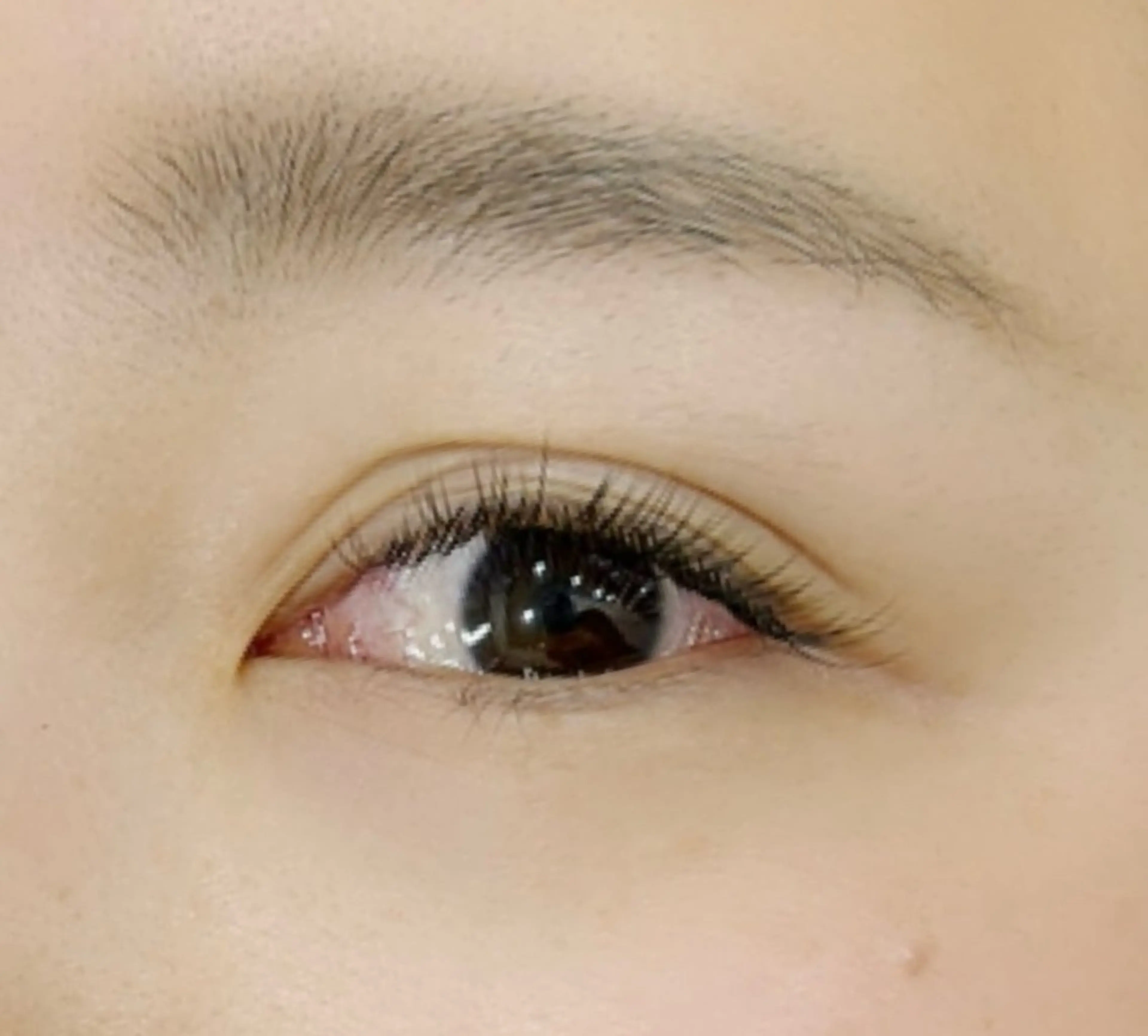 フラットラッシュ　120本の写真