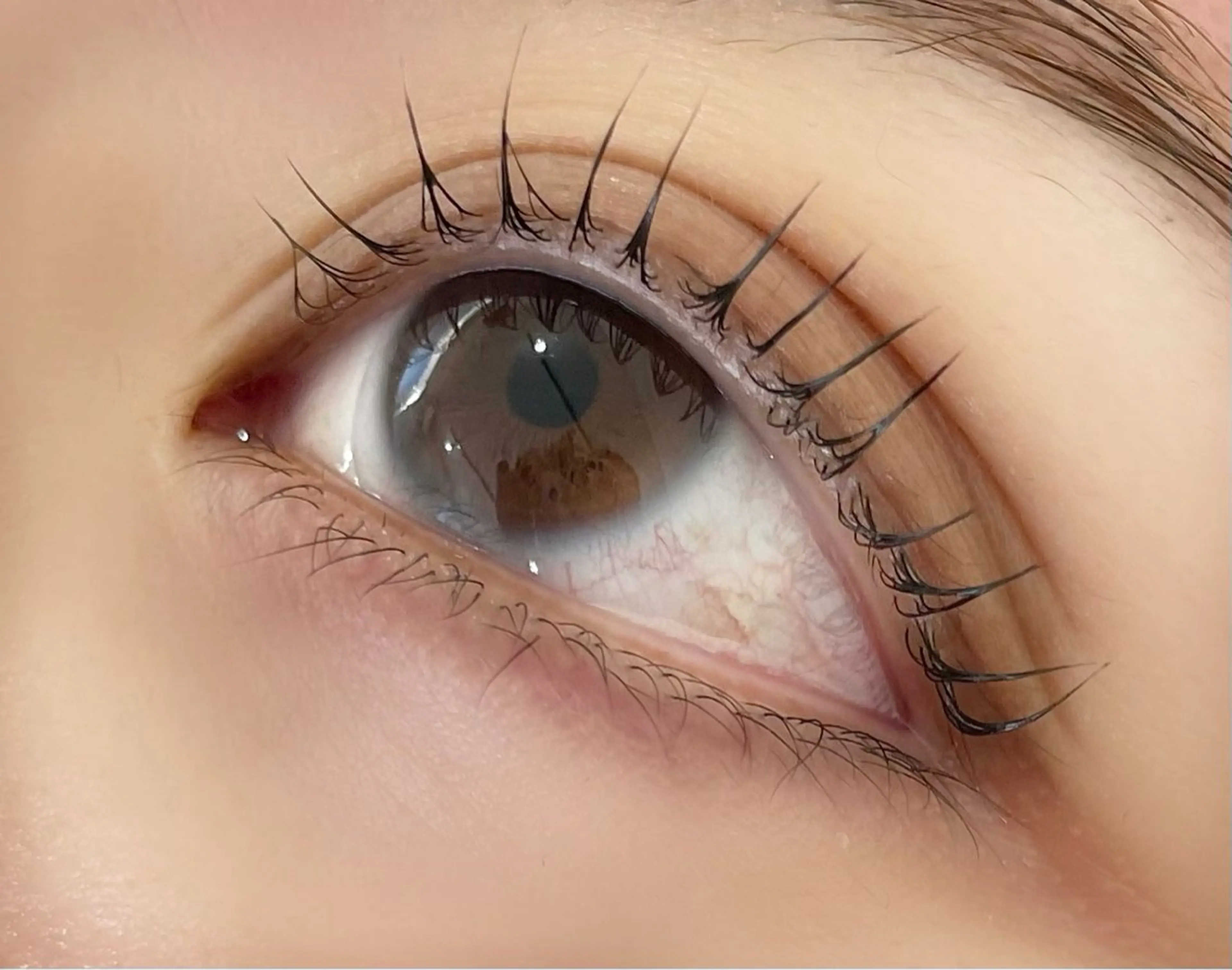 マツエク・マツパ まつげパーマ マツパ Gym and Salon ATENA所属・momoka🎀 まつげのマツエク・マツパデザイン