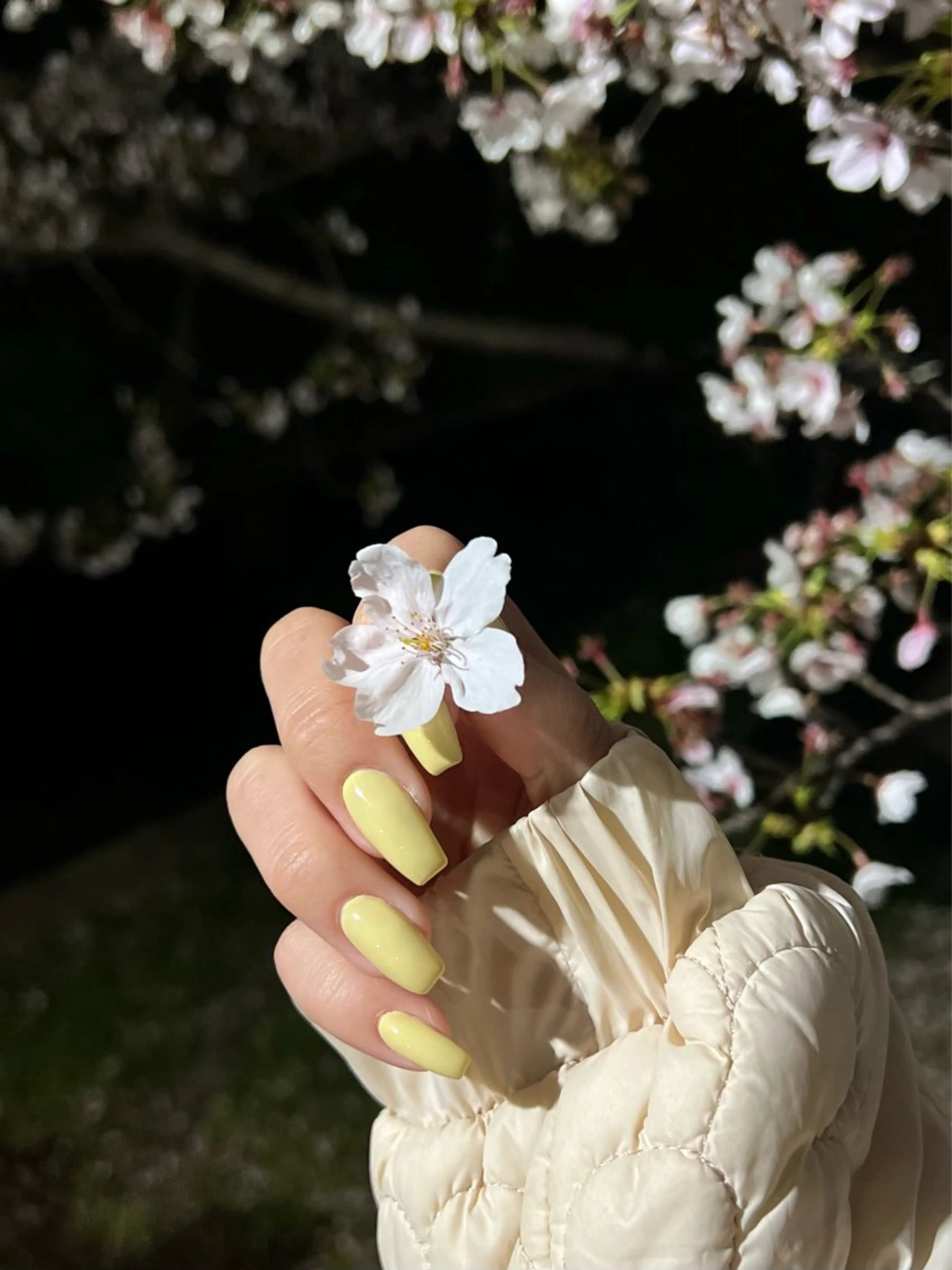 ネイル ワンカラーネイル ハンドネイル nalu🐚 京橋｜Rommyのネイルデザイン