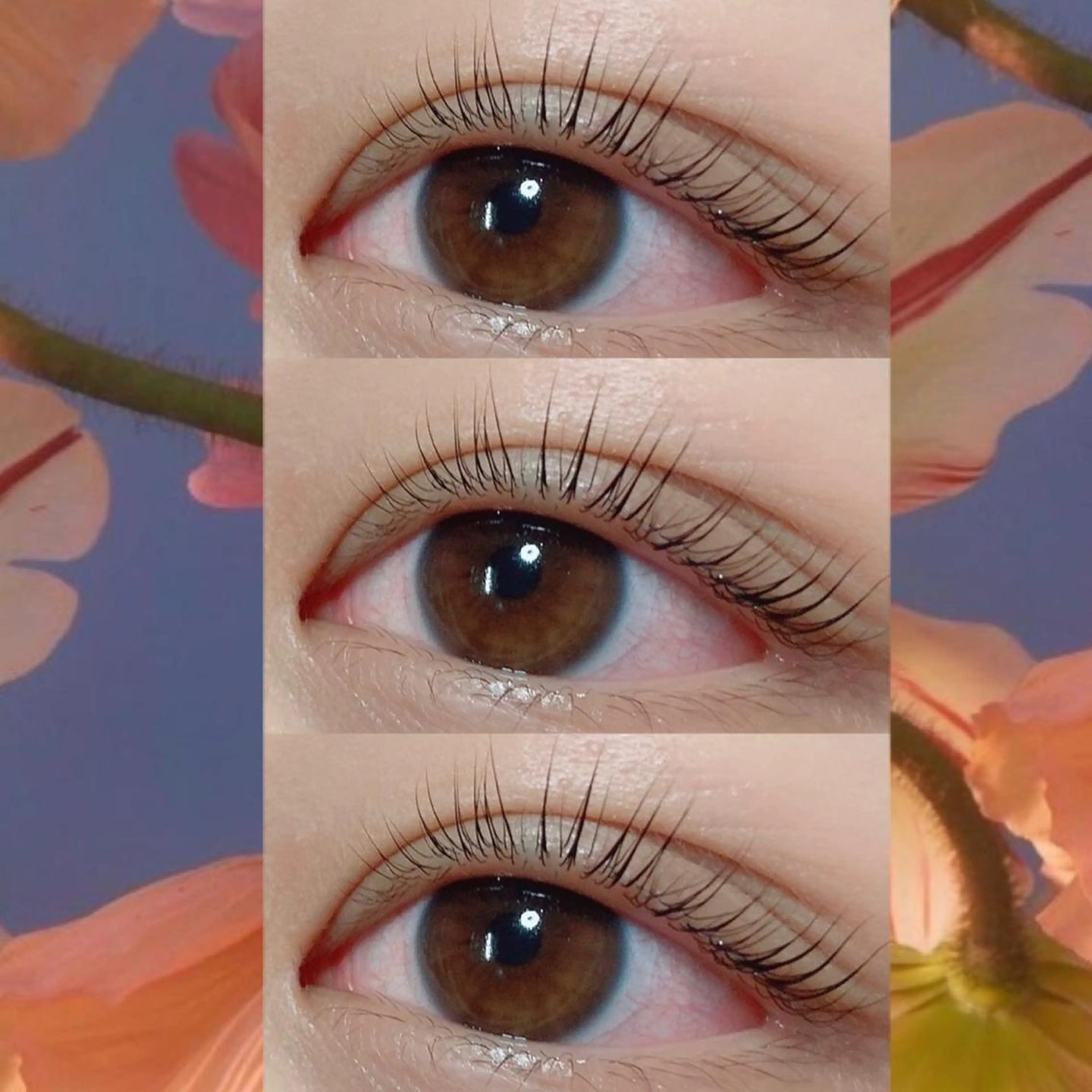 マツエク・マツパ フラットラッシュ 韓国風マツエク まつげパーマ 一重×まつ毛パーマ orihara𐙚 まつげパーマ/眉毛のマツエク・マツパデザイン