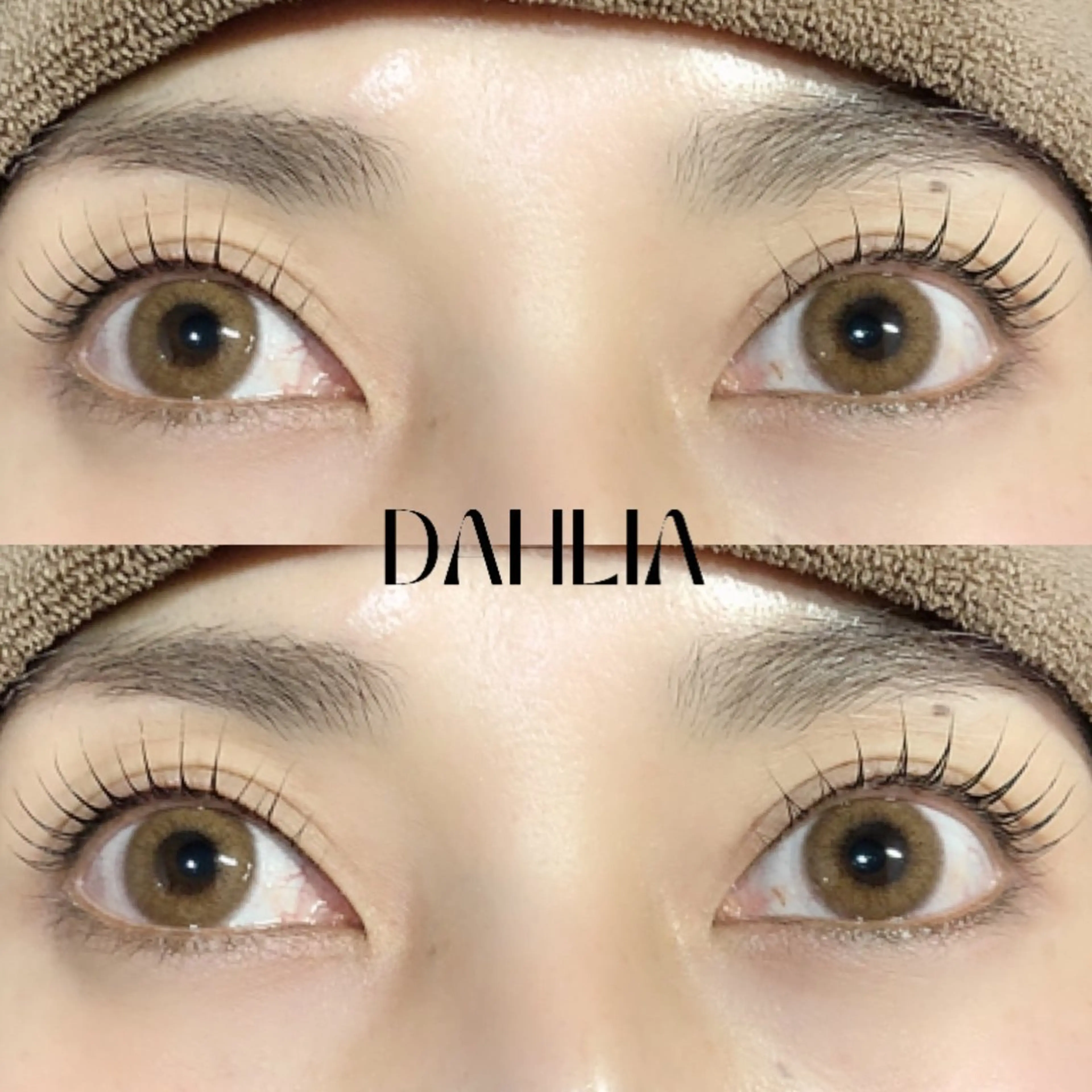 マツエク・マツパ まつげパーマ Dahliaダリア 斉藤のマツエク・マツパデザイン