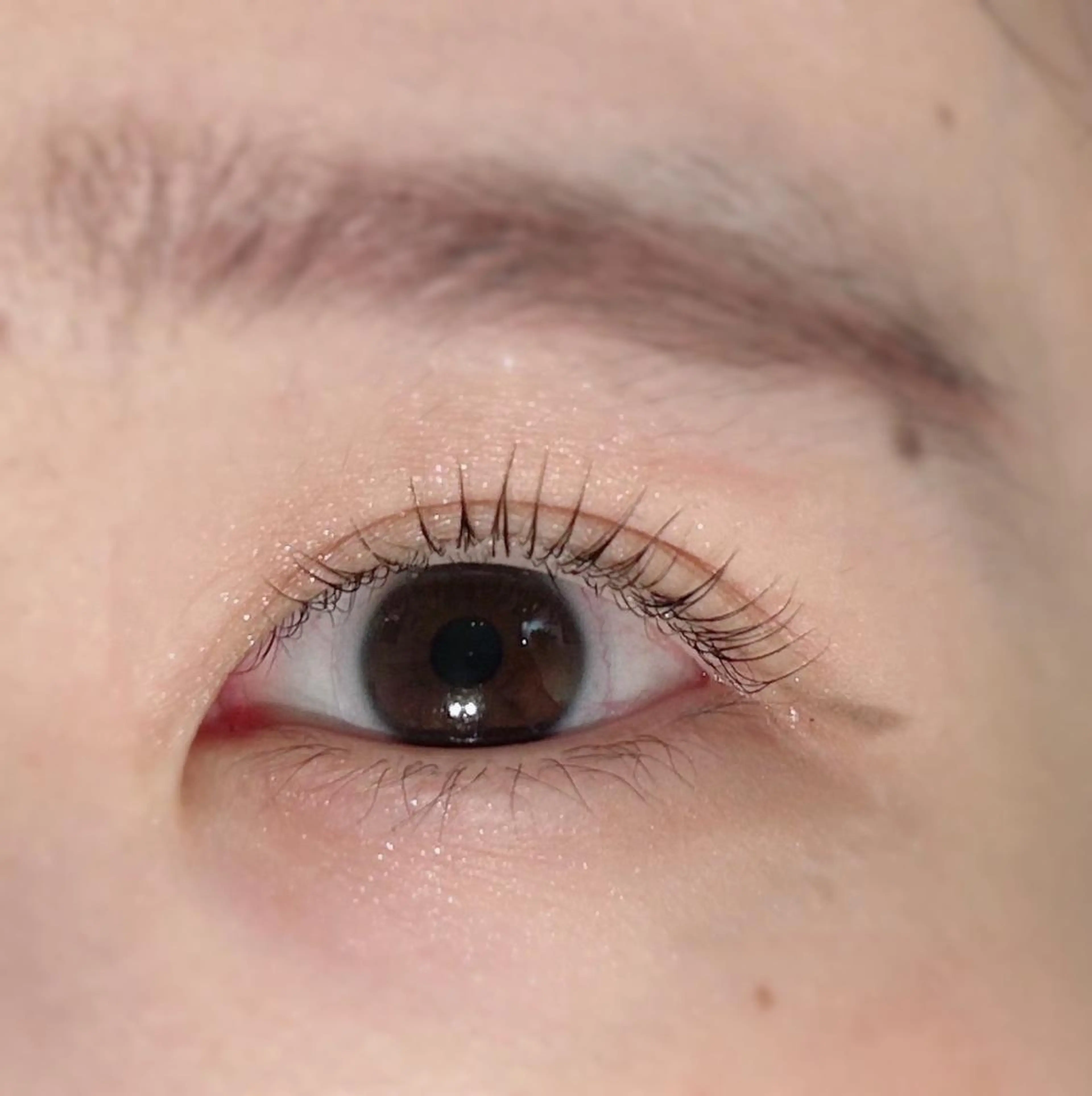 マツエク・マツパ 韓国風マツエク まつげパーマ マツパ Biolus／天王寺 2号店🌸noa🌸のマツエク・マツパデザイン