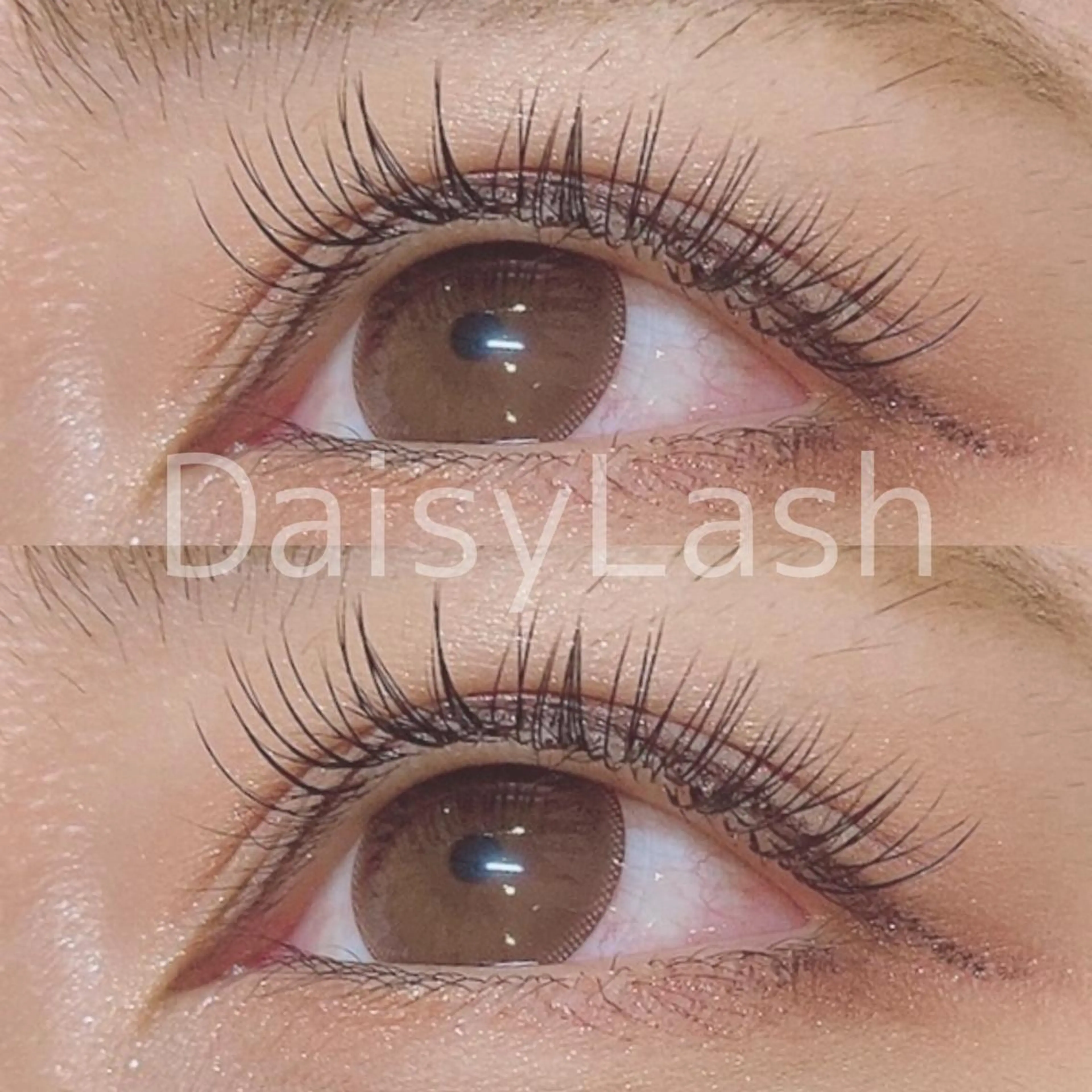 マツエク・マツパ DaisyLash 京橋店のマツエク・マツパデザイン