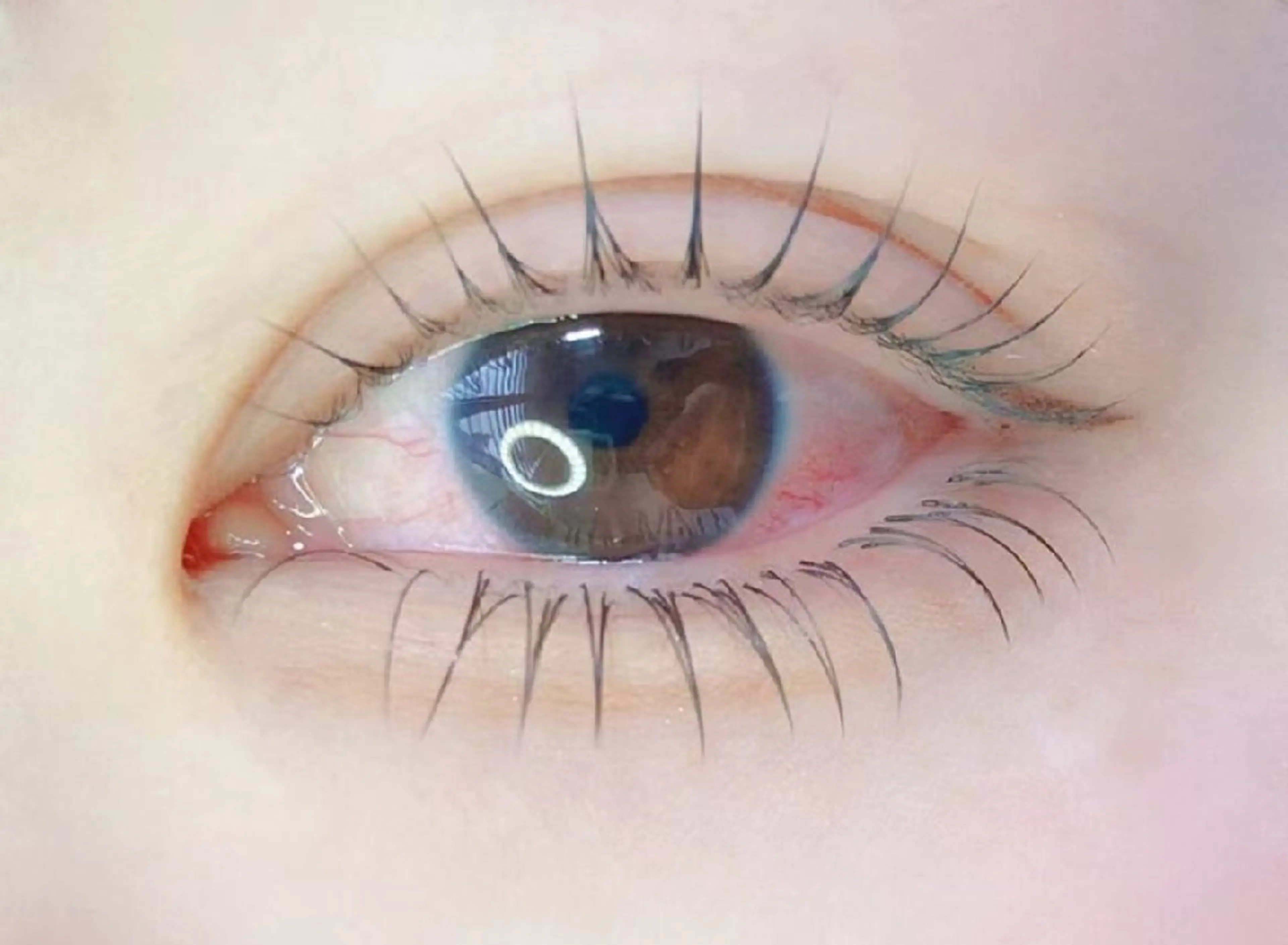 マツエク・マツパ アレグレス所属・アレグレス@池袋 🌹大人気店🌹のマツエク・マツパデザイン