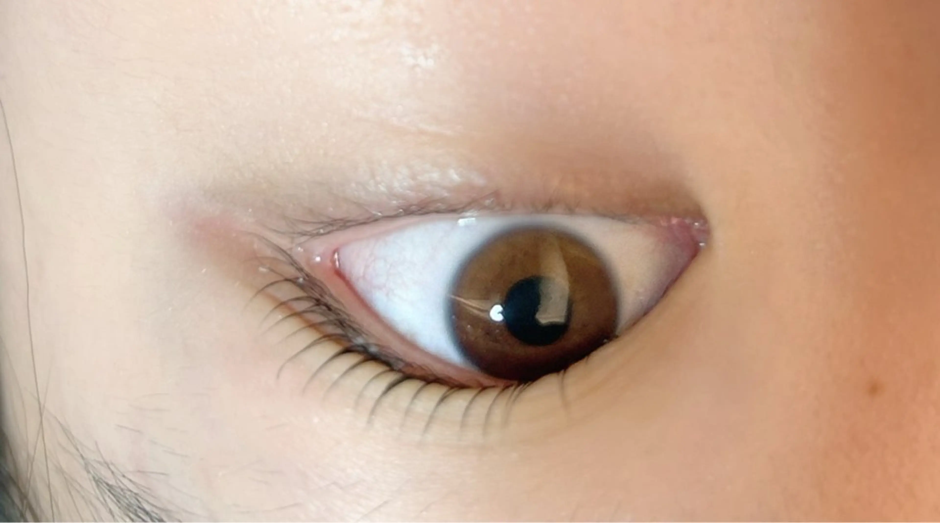 マツエク・マツパ 玉置 七海のヘアスタイル