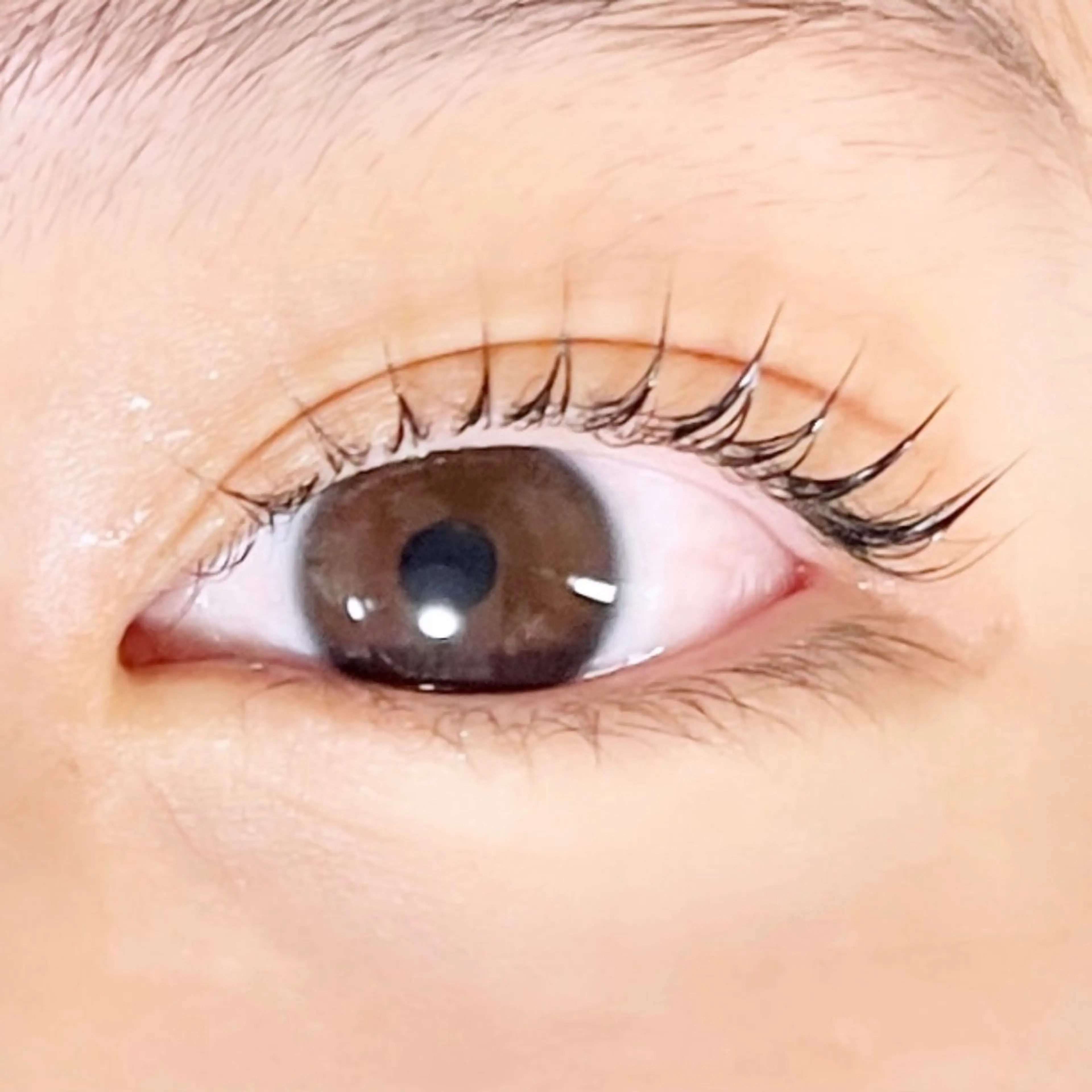 マツエク・マツパ TAKEO🖤 マリーテレジア藤が丘のマツエク・マツパデザイン