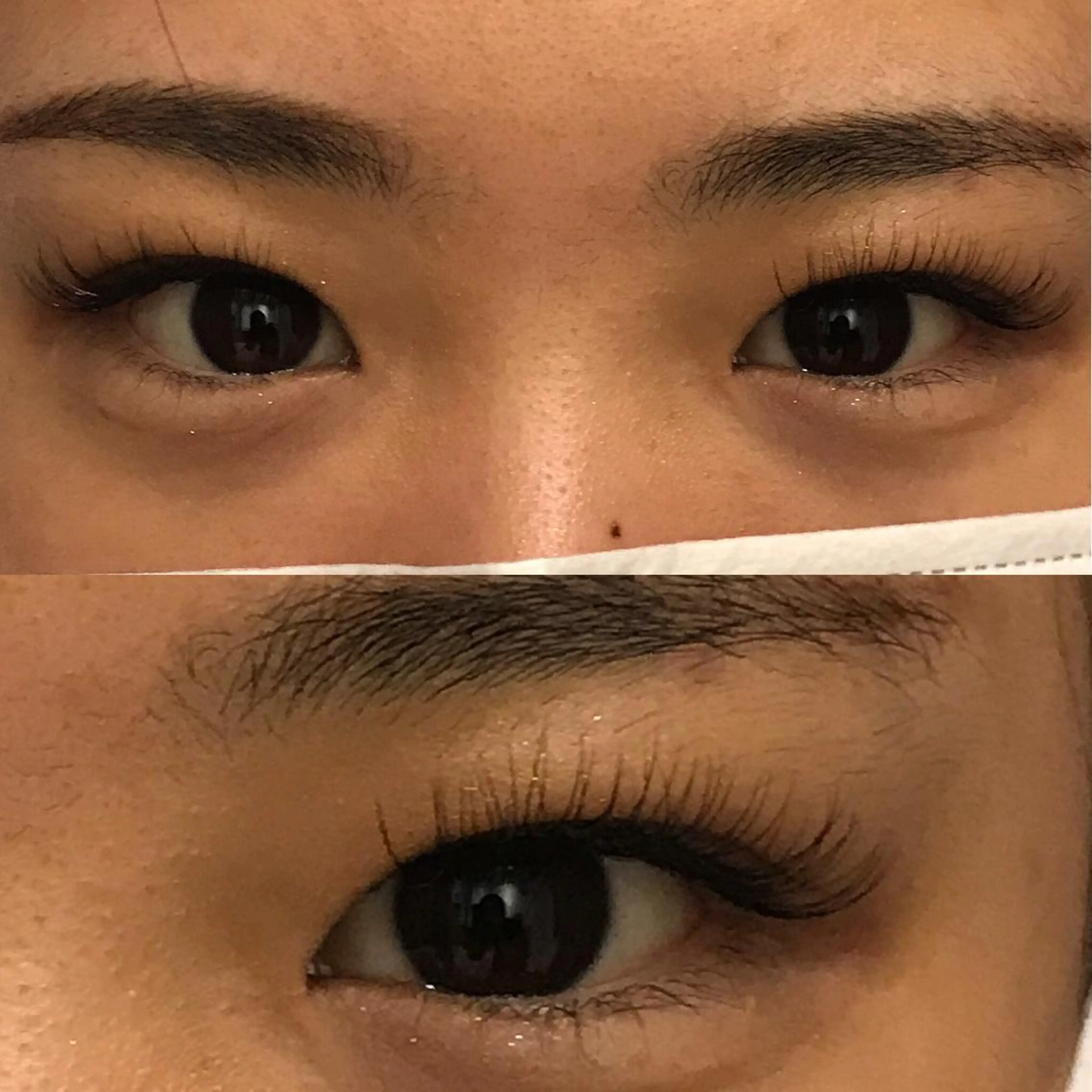 マツエク・マツパ 目尻長め ミンク eight eyelashの眉毛・アイブロウイメージ