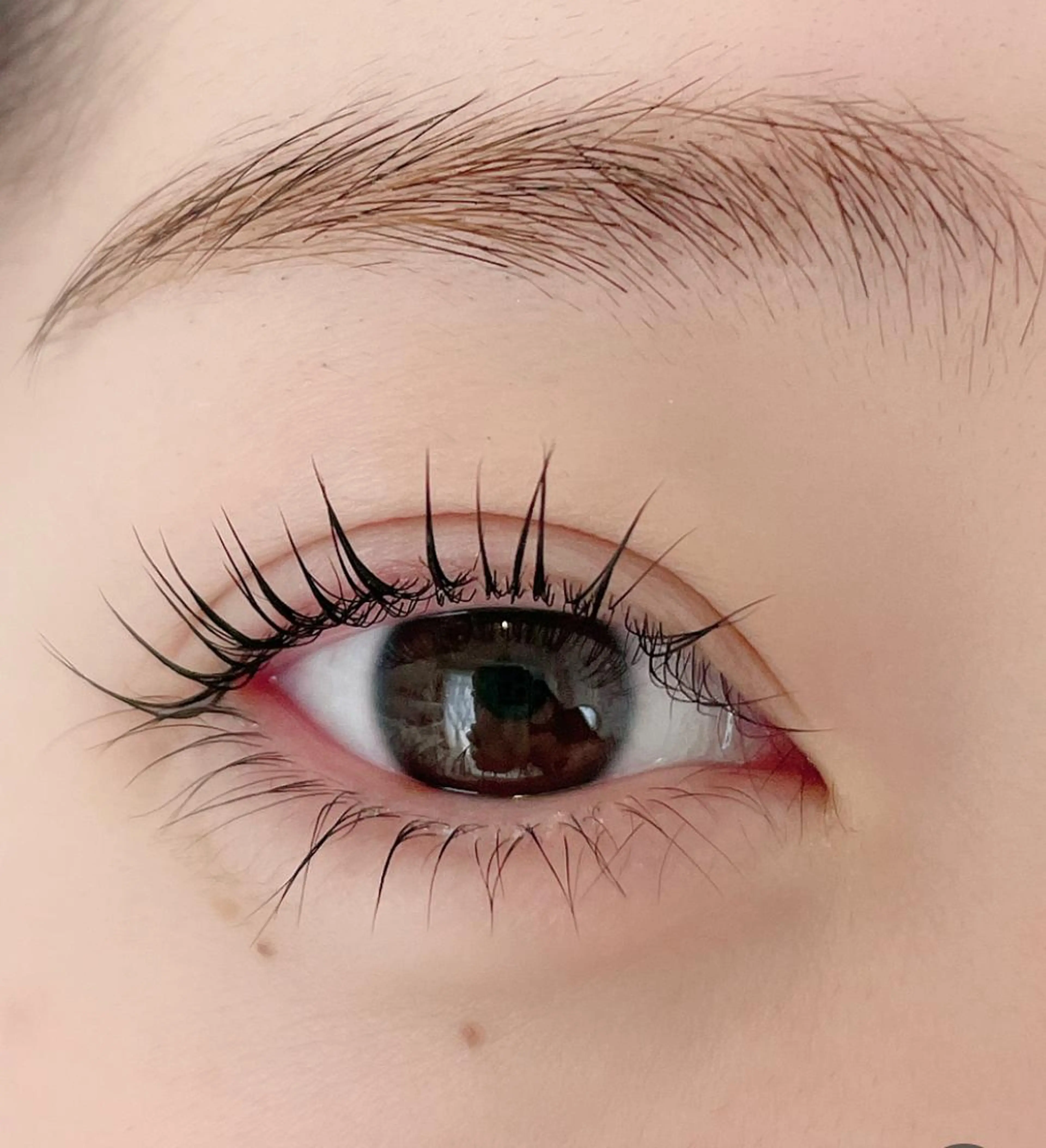 まつ毛パーマ(アイシャンプー付き)7200→7000円の写真