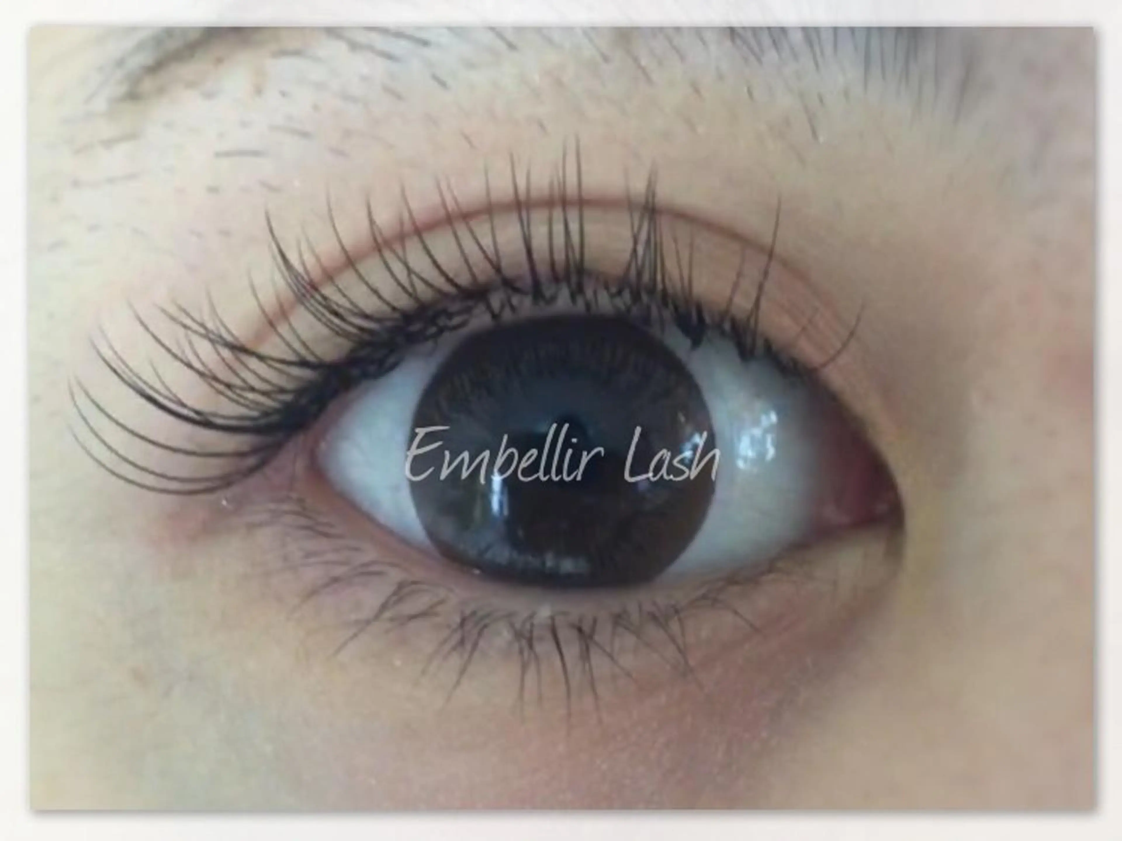 マツエク・マツパ アンベリイルラッシュ所属・まつエク・パーマ アンベリイルラッシュのマツエク・マツパデザイン