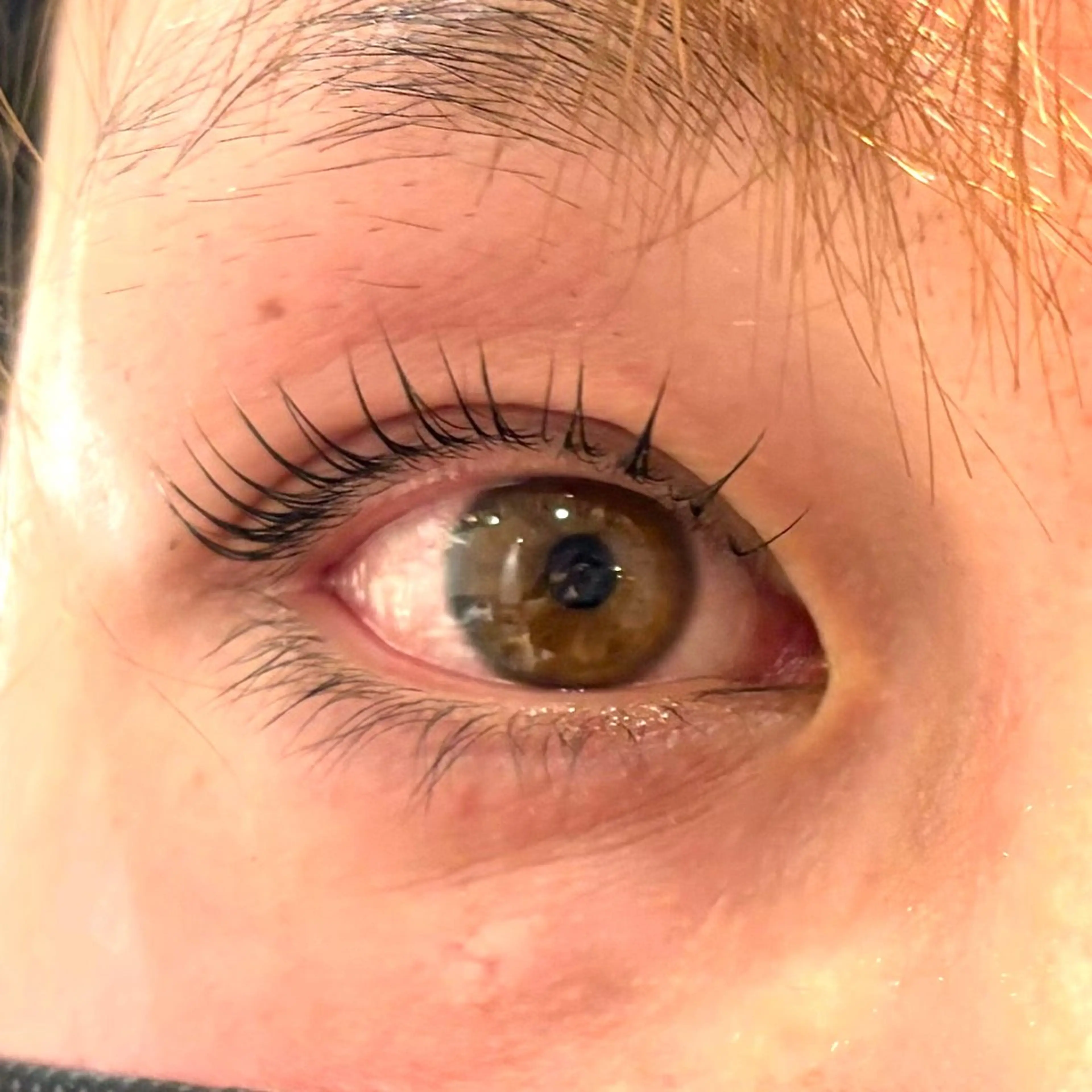 《ミニモ学割》U24 パリジェンヌラッシュリフトorまつげパーマの写真