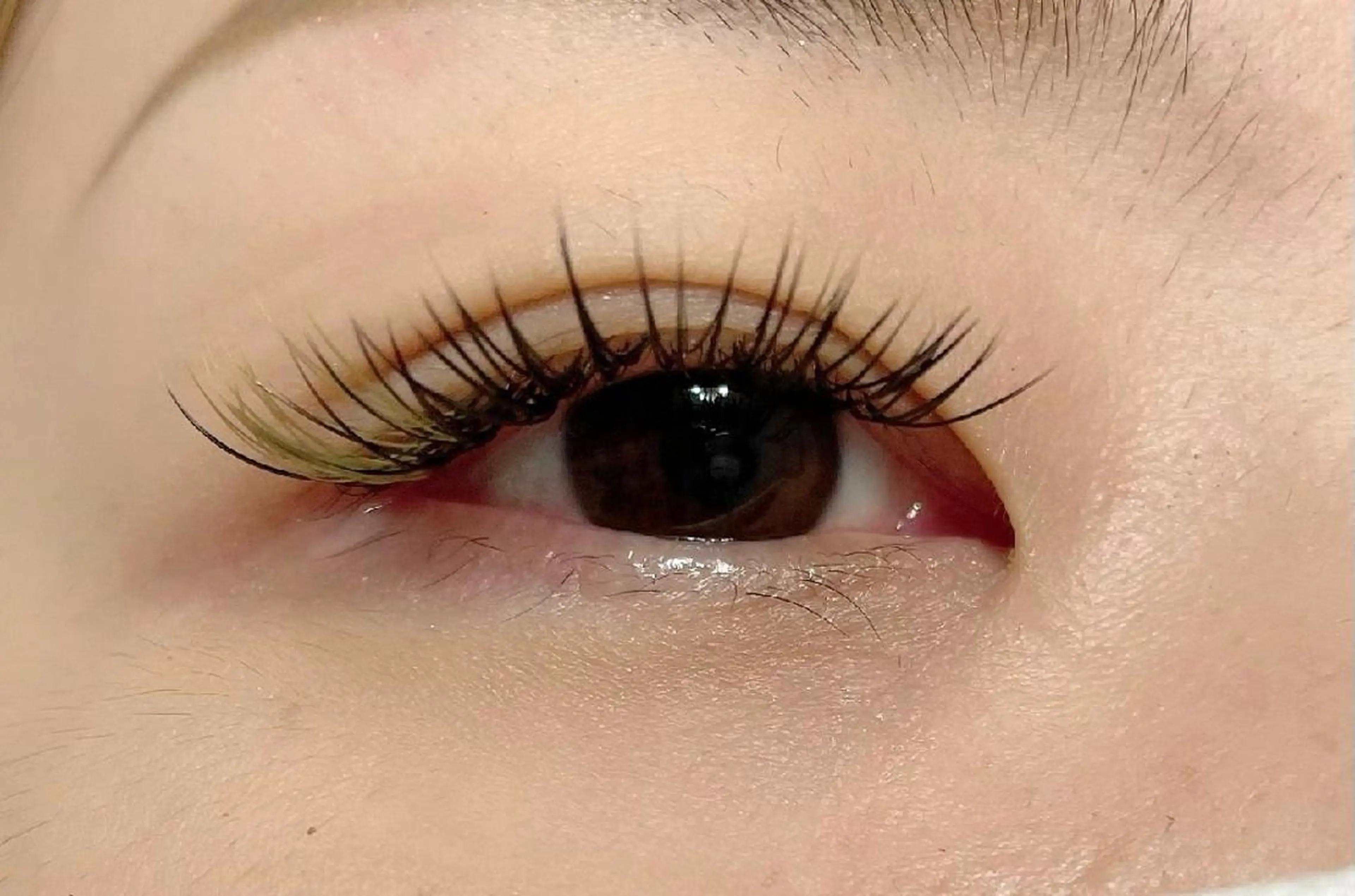 マツエク・マツパ カラーマツエク And　I.所属・東向島eyelash  And I.のマツエク・マツパデザイン