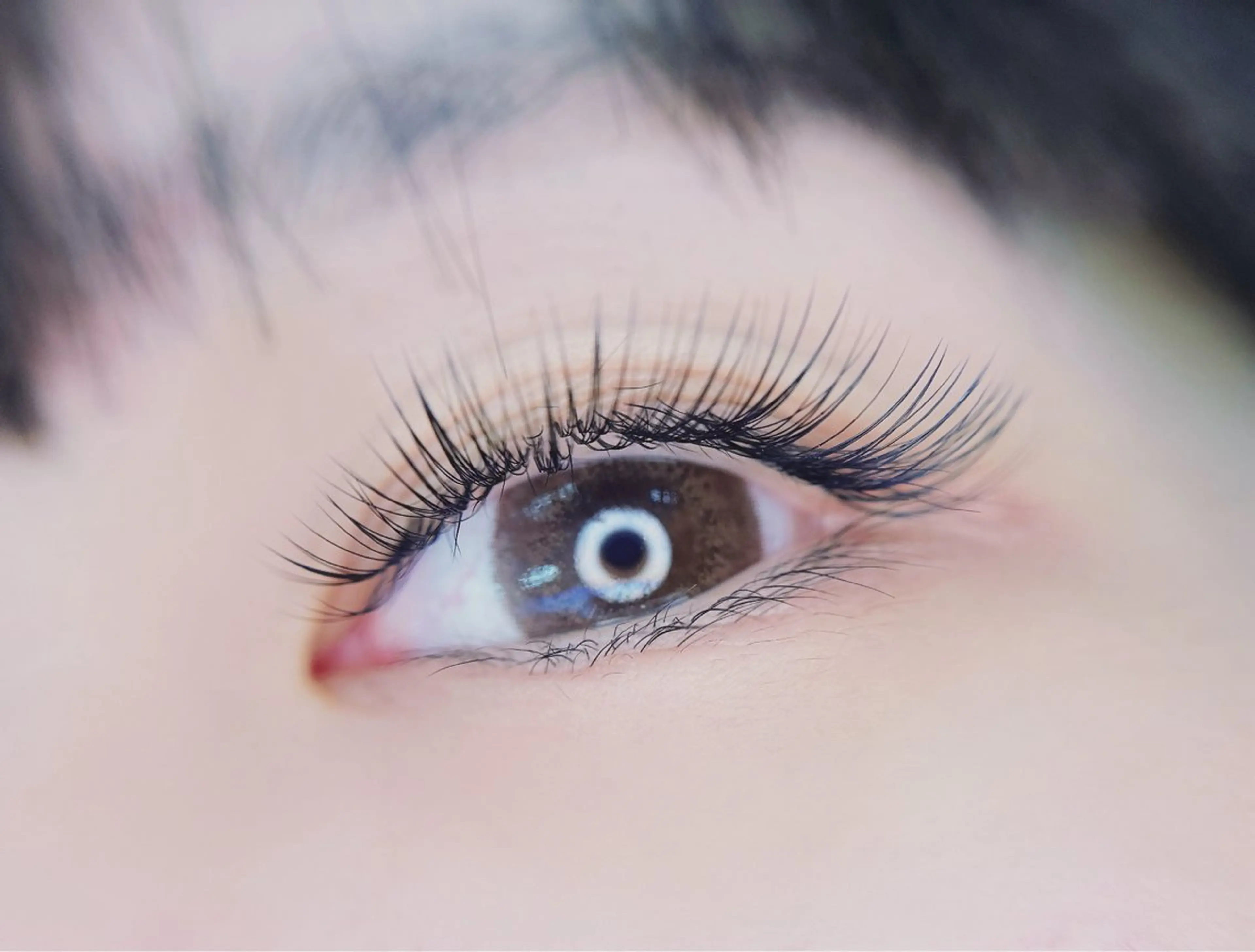 マツエク・マツパ マツエク MIGNON 当日予約のみのマツエク・マツパデザイン