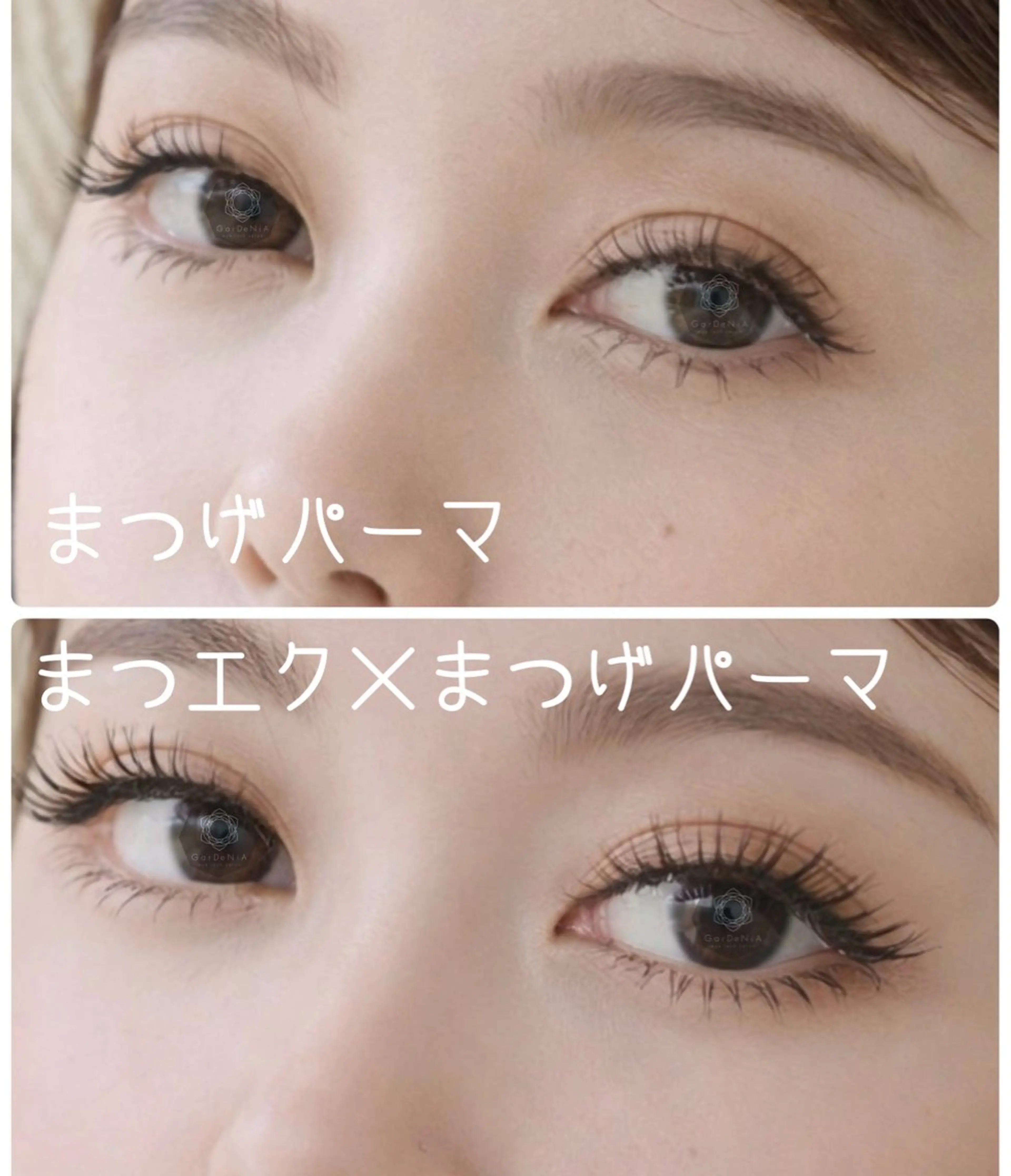 【エクパ】まつエク×まつげパーマのフュージョン‼︎5750円※18歳​〜​40歳限定の写真